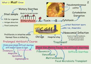 Clostridium difficile - Creative Med Doses