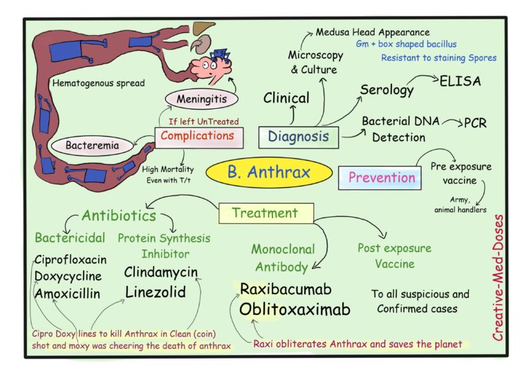 Anthrax Part 3 Creative Med Doses   ANTHRAX Treatment Jpg 768x543 