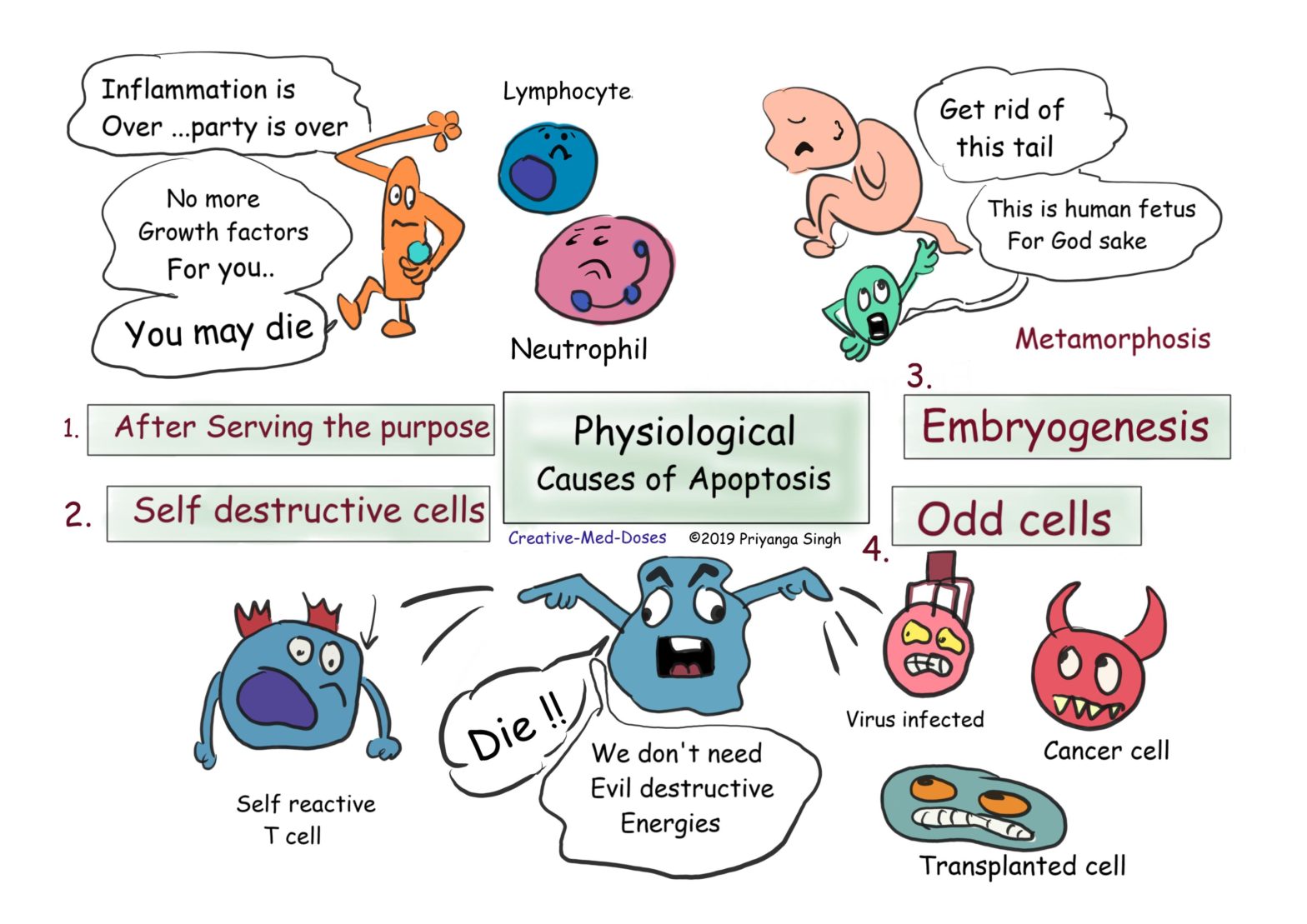 multisystem-physiological-perspective-of-human-frailty-and-its