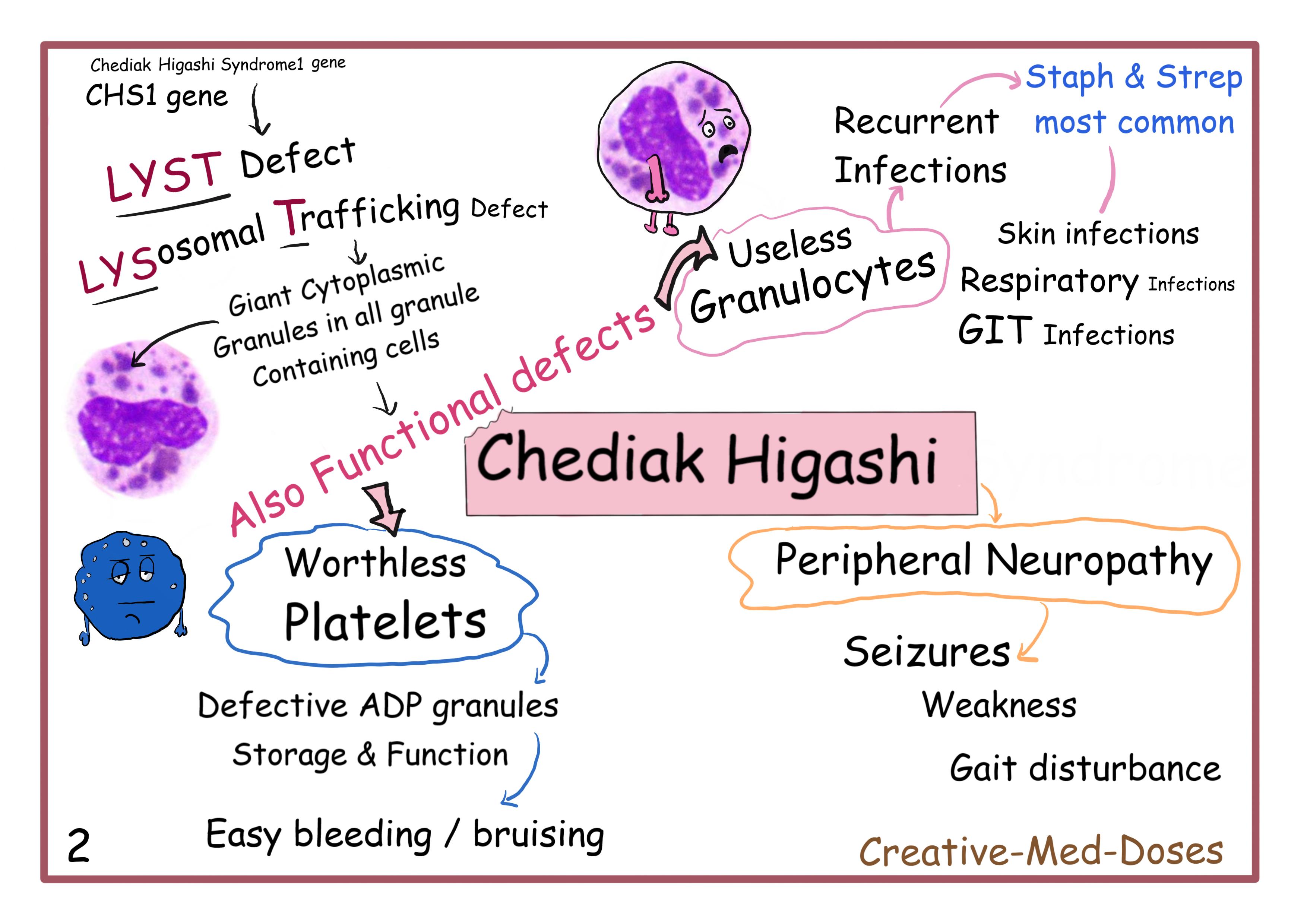 Chediak-Higashi syndrome visual map