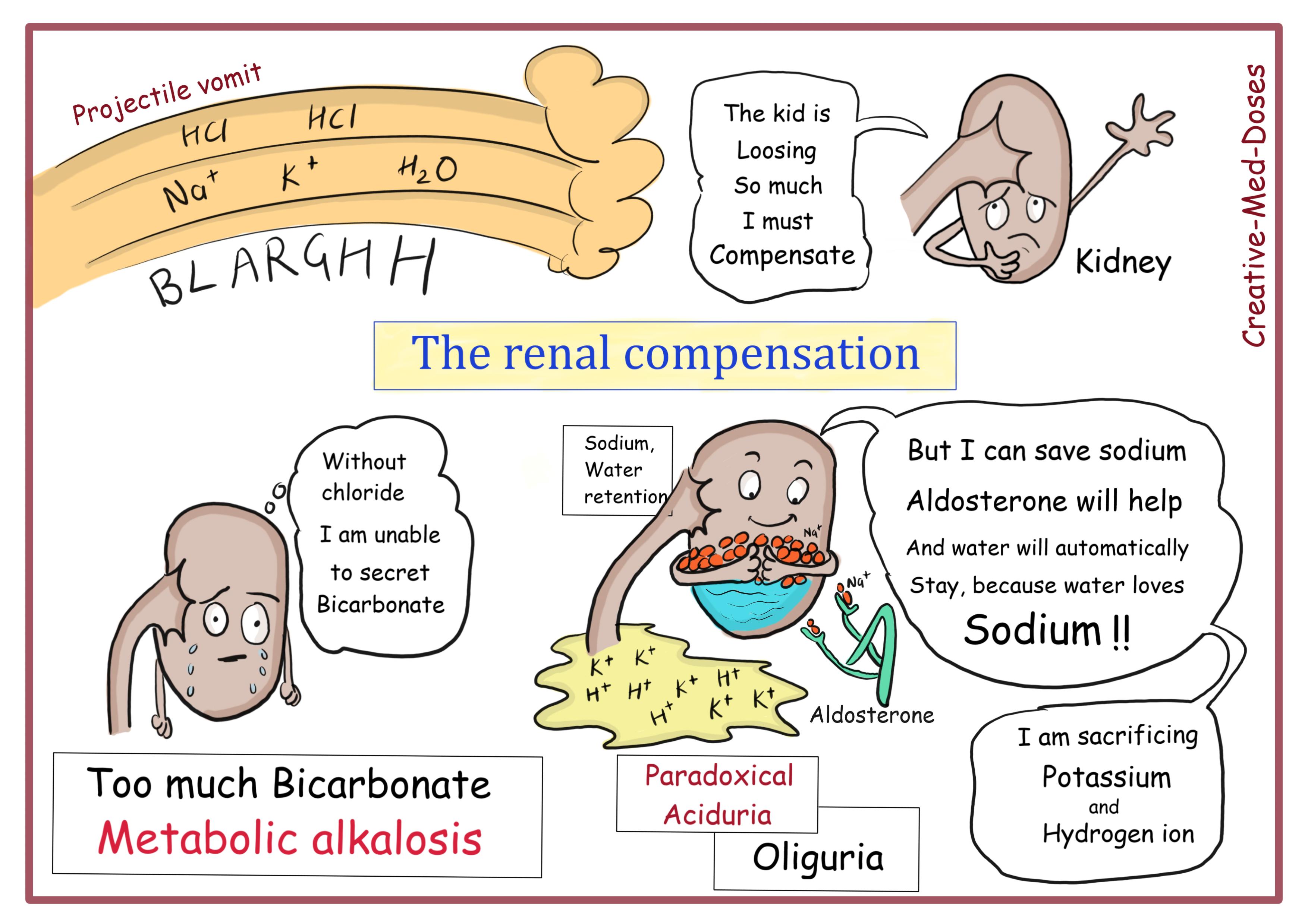 Renal compensation and metabolic alkalosis in pyloric stenosis