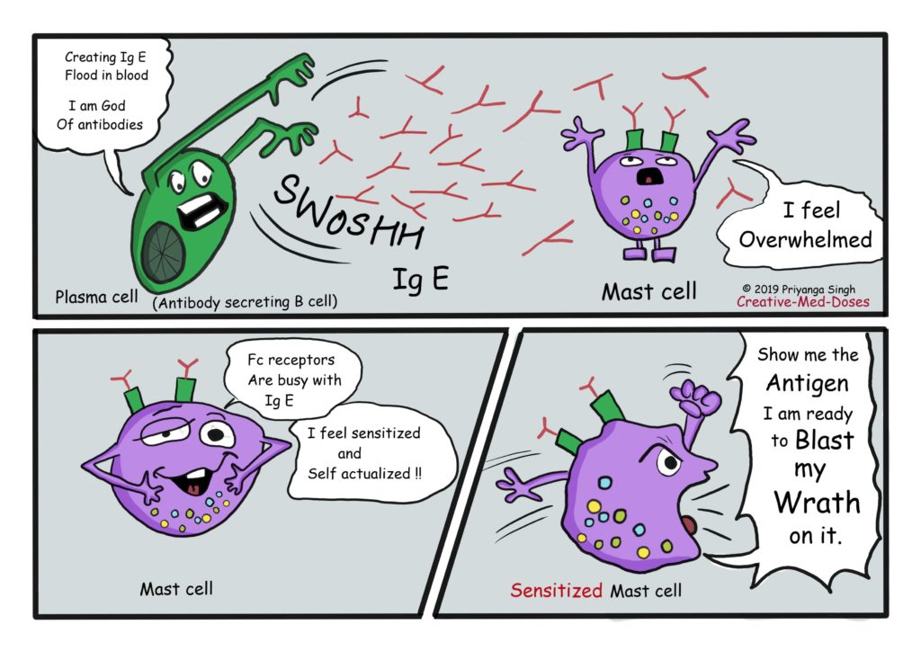 Type 1 hypersensitivity: Immediate - Creative Med Doses