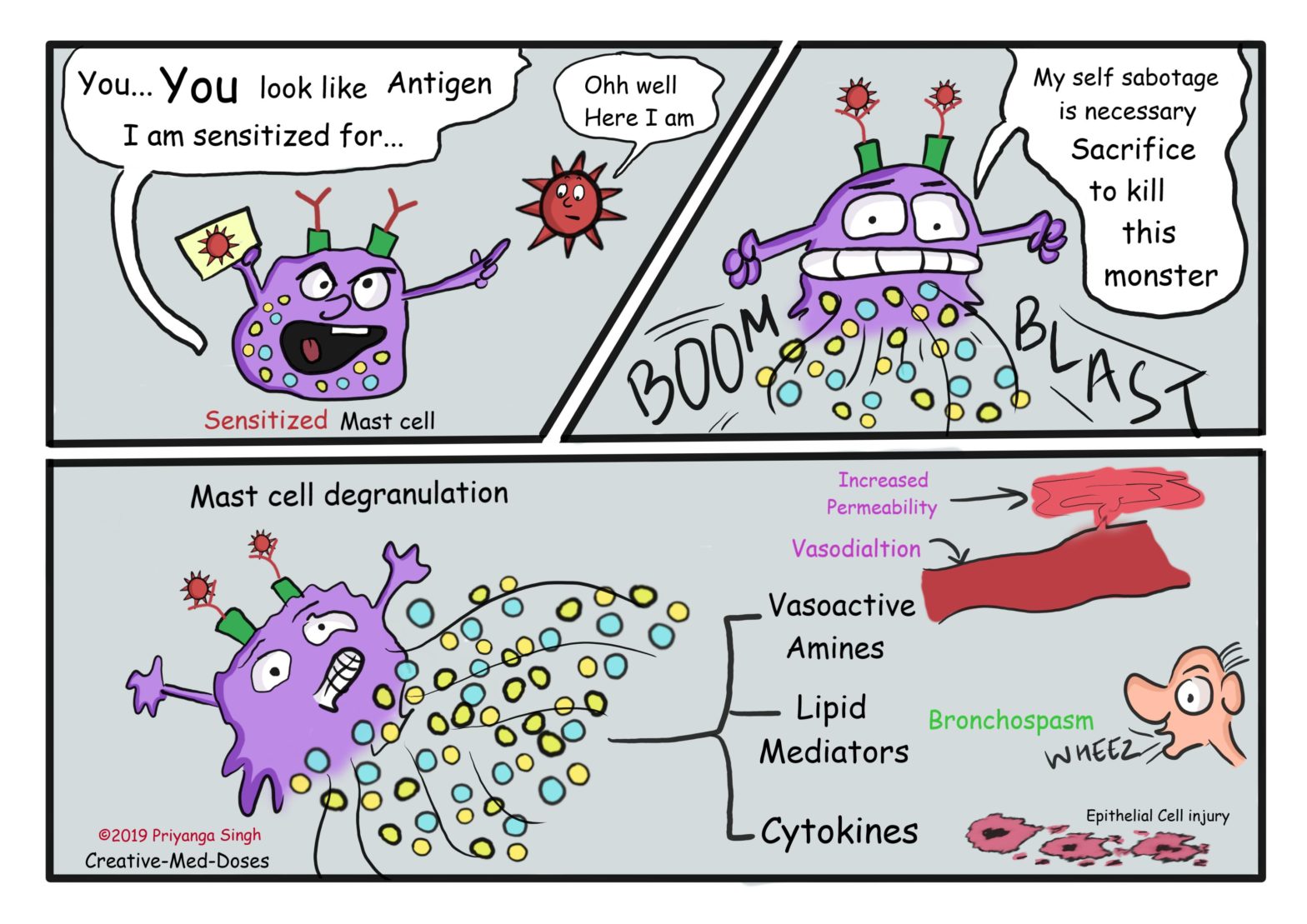 Type 1 hypersensitivity: Immediate - Creative Med Doses