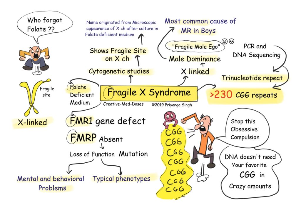 fragile x syndrome clinical presentation