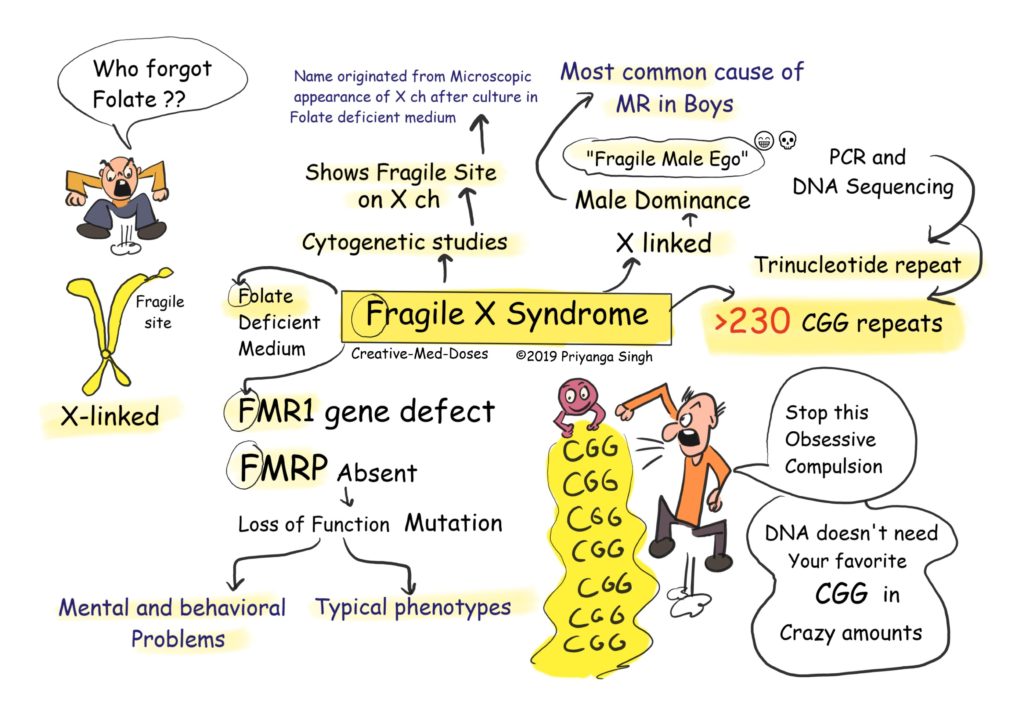 current research on fragile x