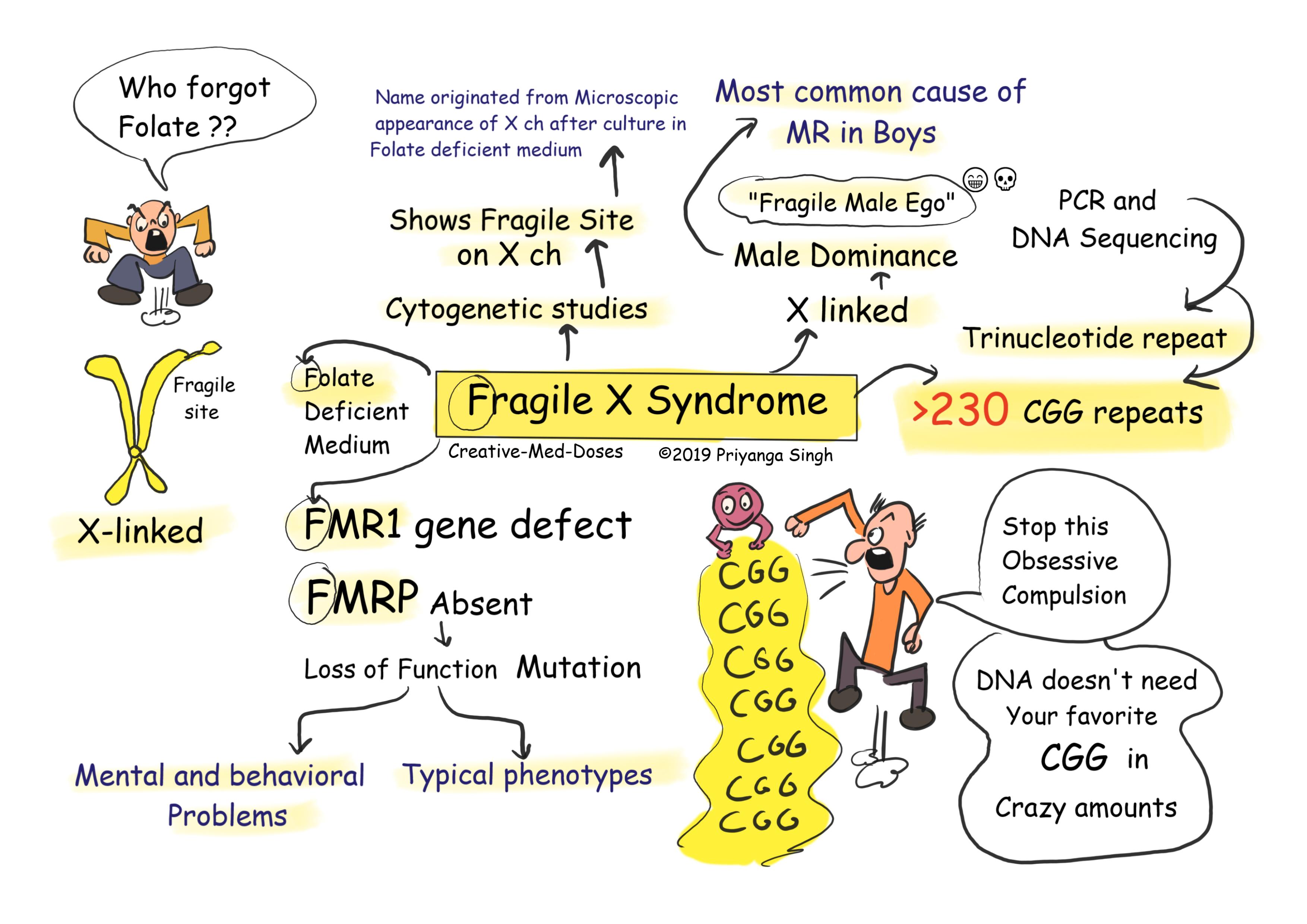 What Is Fragile X Syndrome | Images and Photos finder