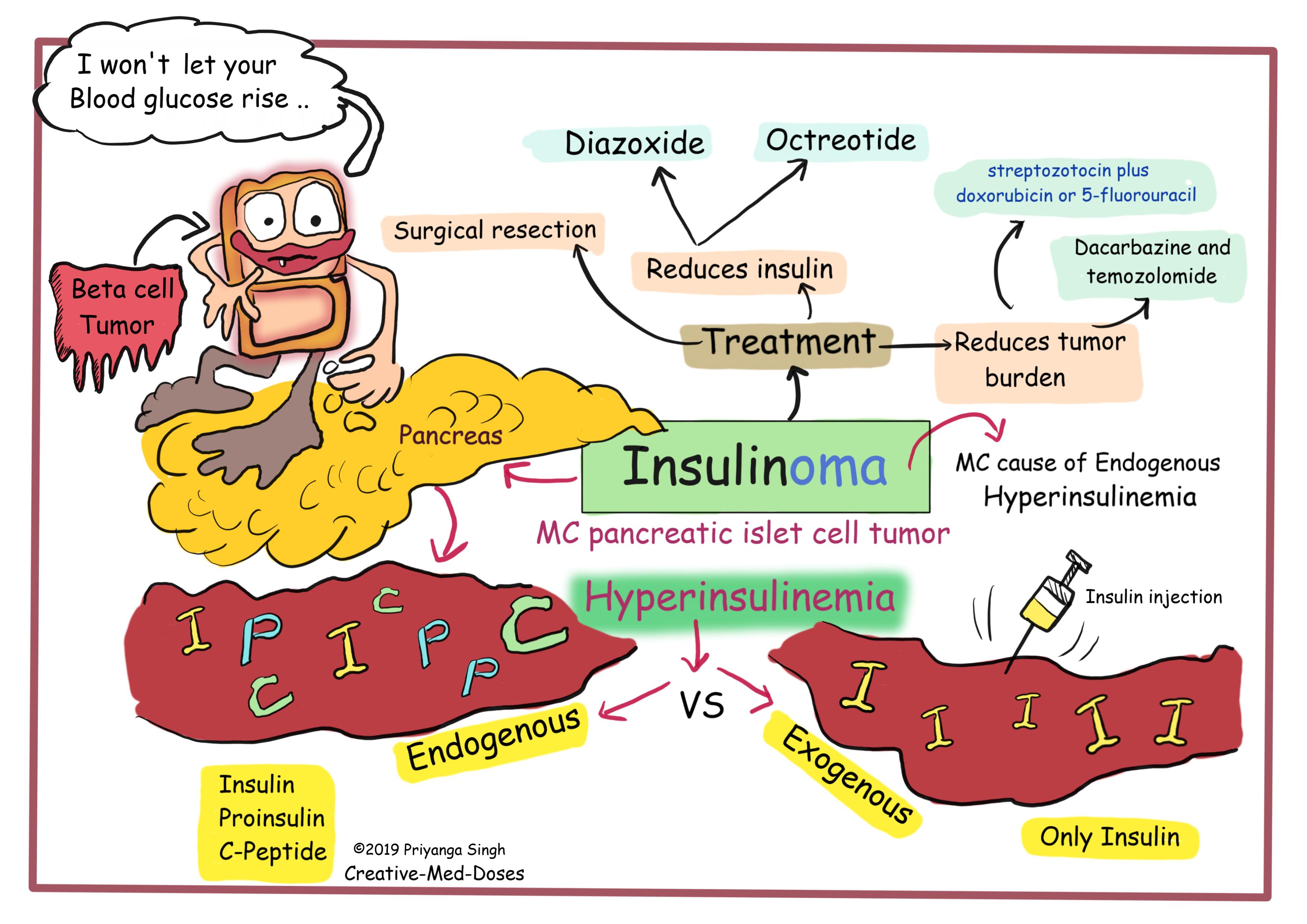 Insulinoma visual map, description of treatment and lab values