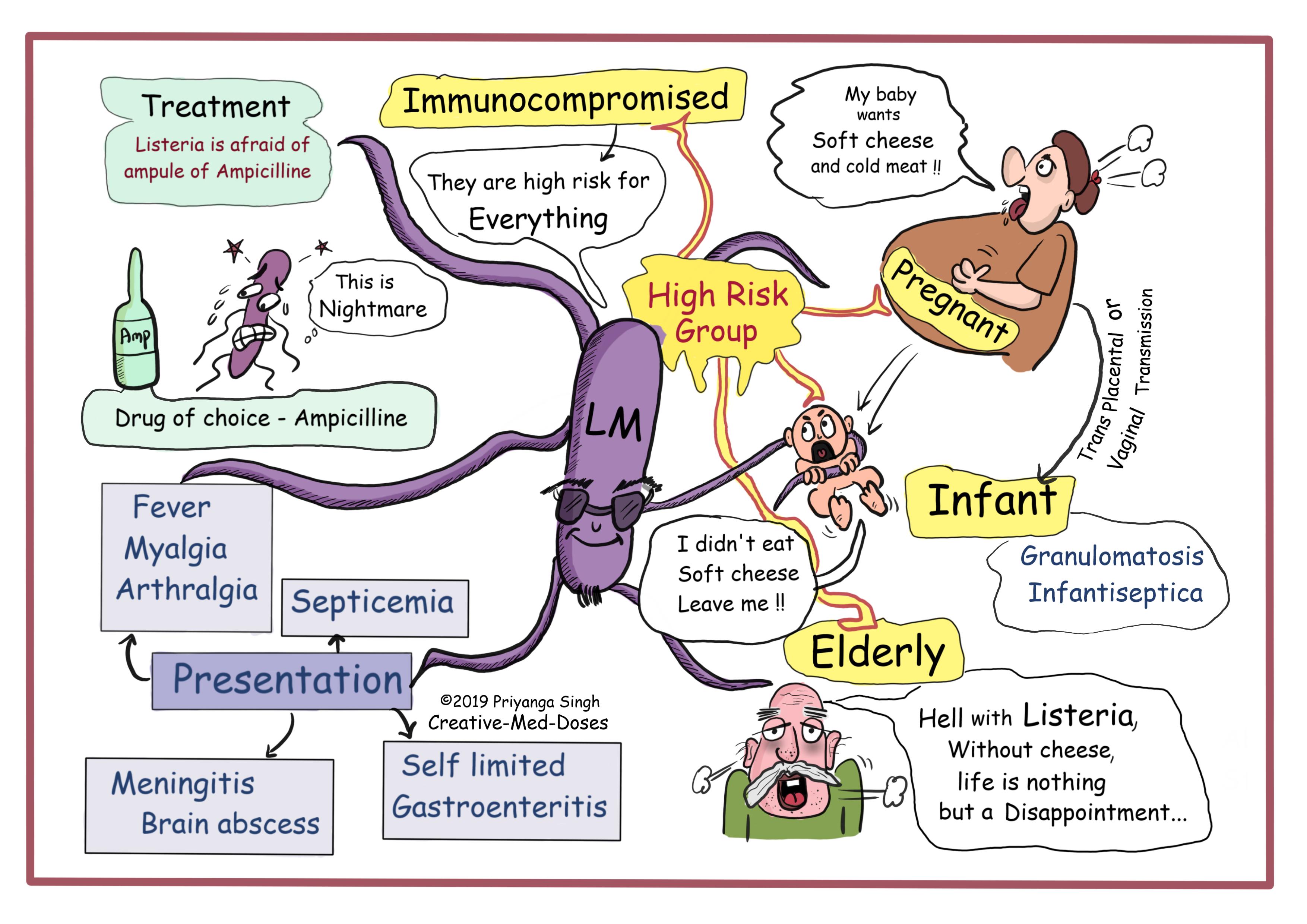 Listeria Monocytogenes visual map 2