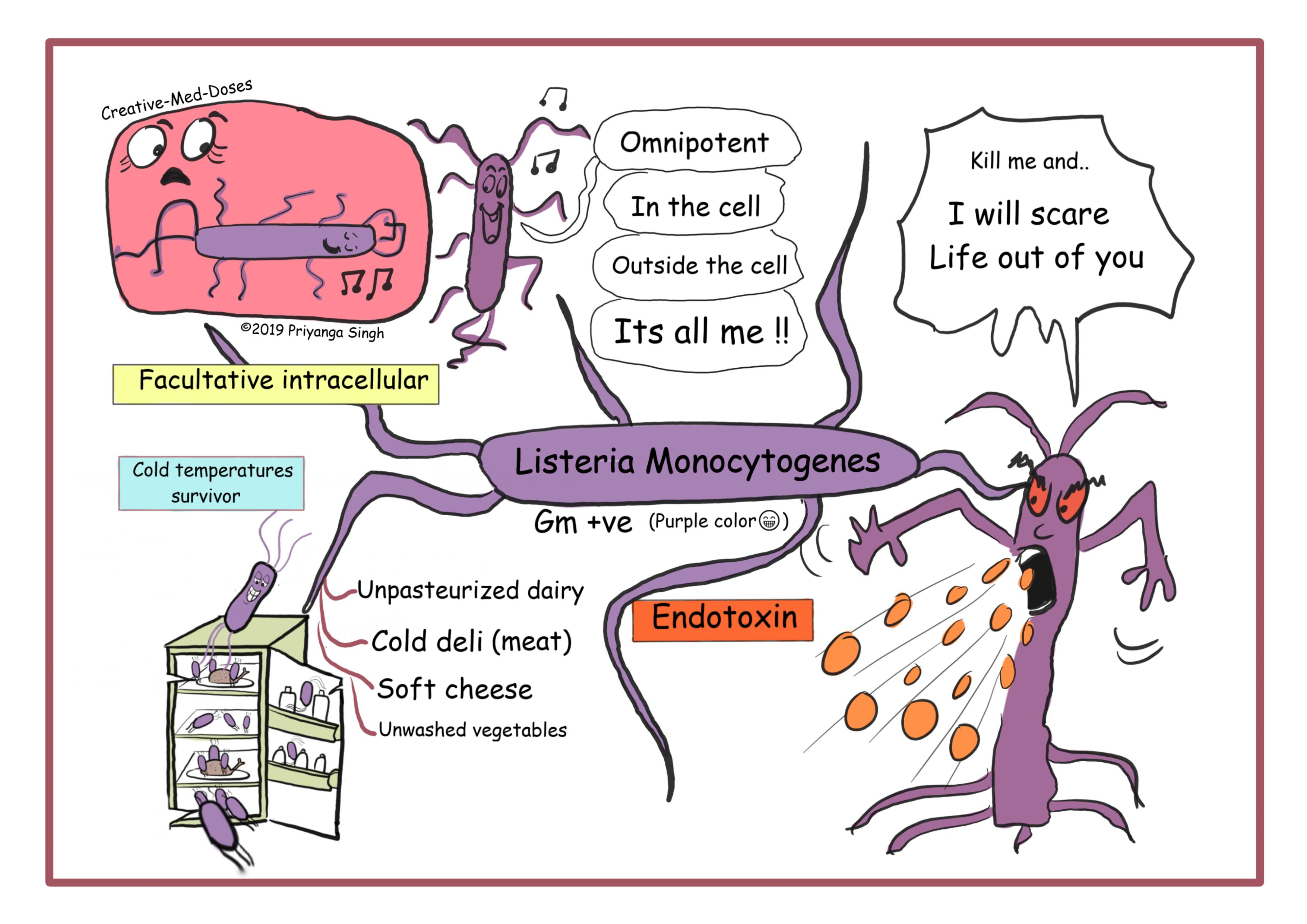 Listeria Monocytogenes visual map 1