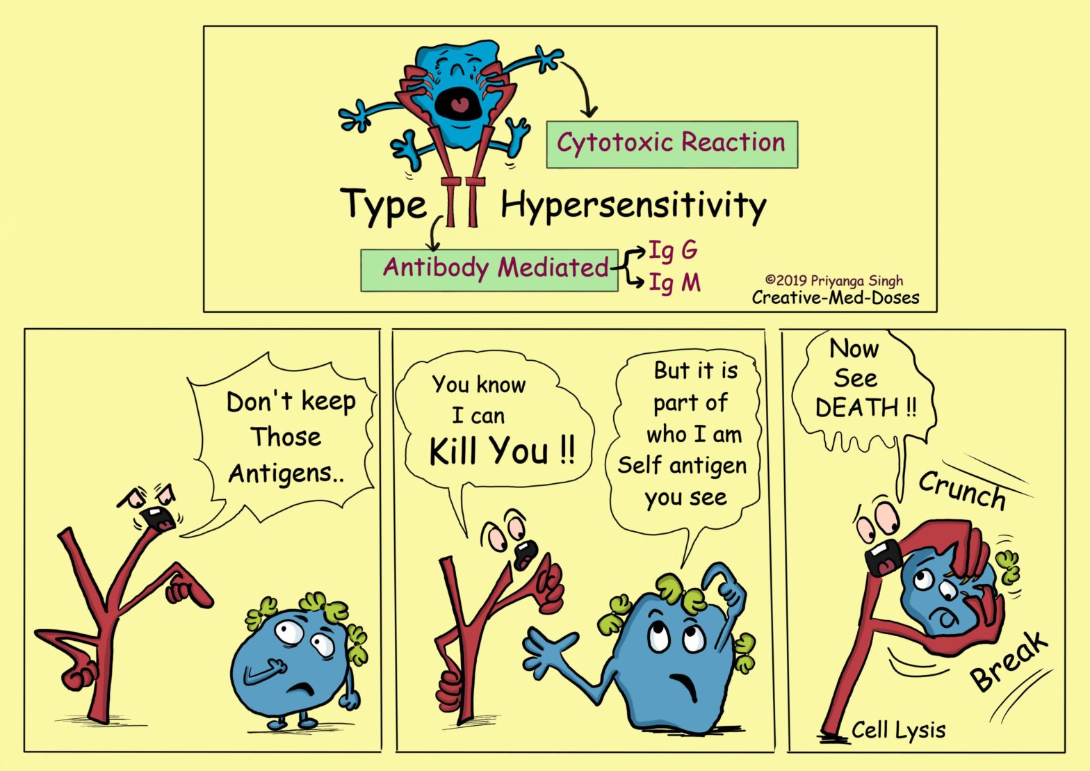 Type 2 Hypersensitivity Reaction Examples