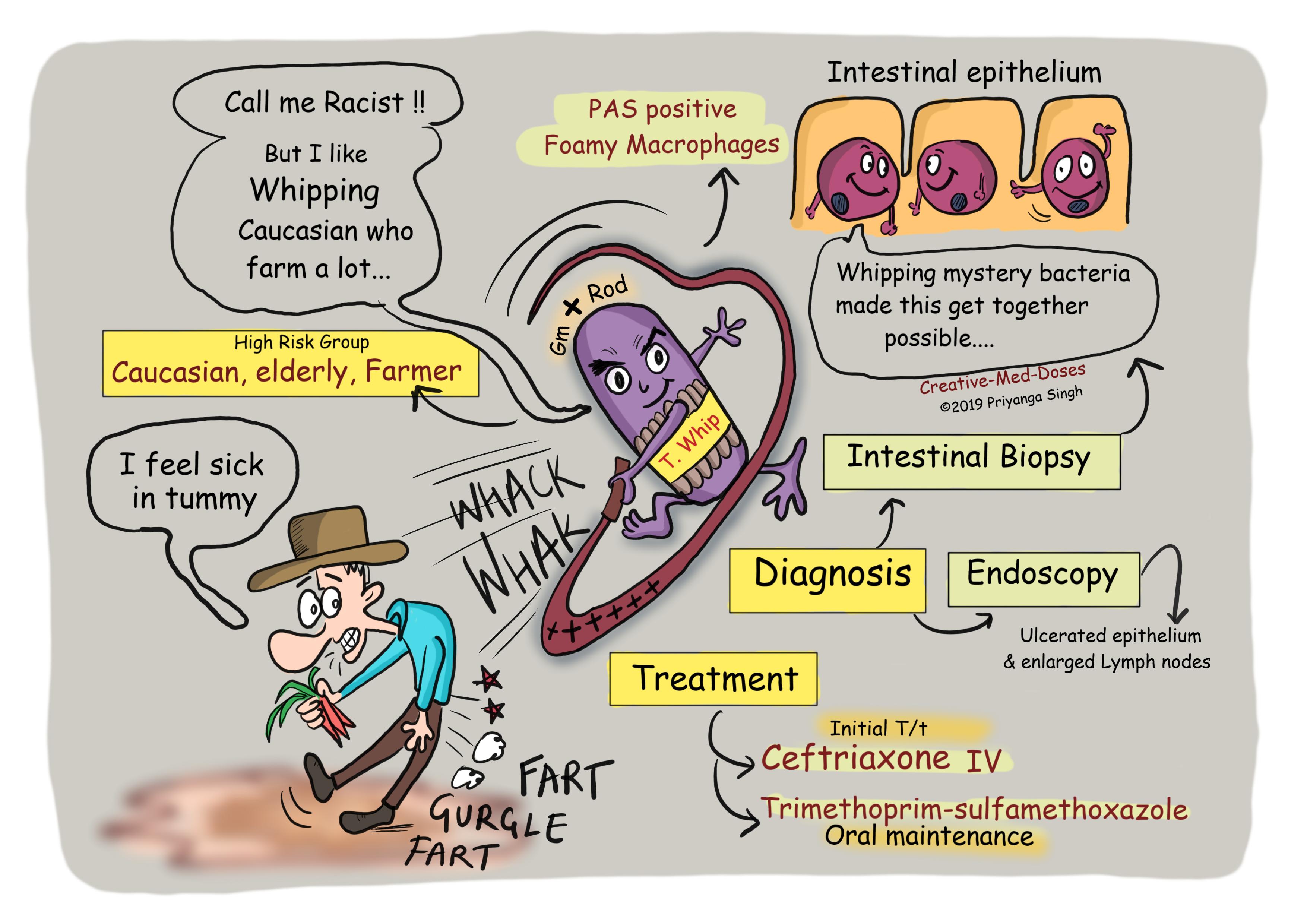 Whipple’s disease-visual map describing high risk groups, diagnosis and treatment 