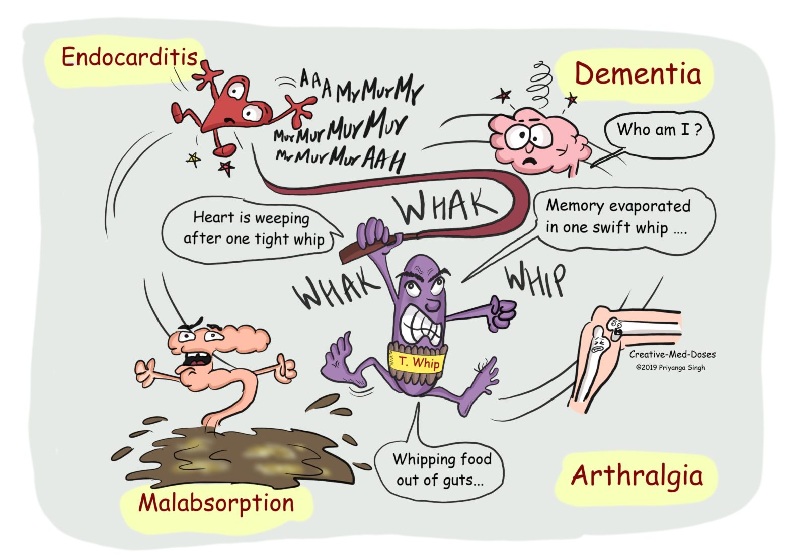 Whipple’s disease-visual map describing clinical symptoms and affected organs