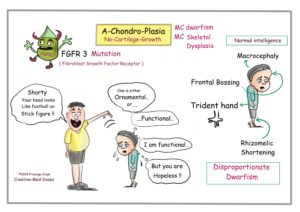 Achondroplasia: Intelligent, Disproportionate Dwarf - Creative Med Doses