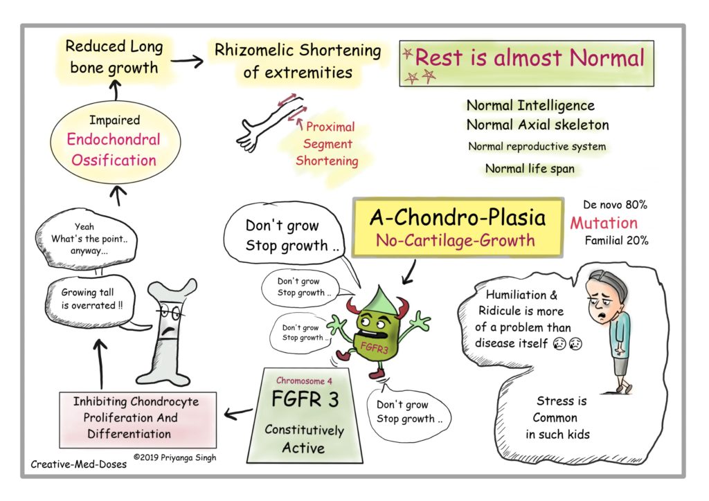 Achondroplasia: Intelligent, Disproportionate Dwarf - Creative Med Doses