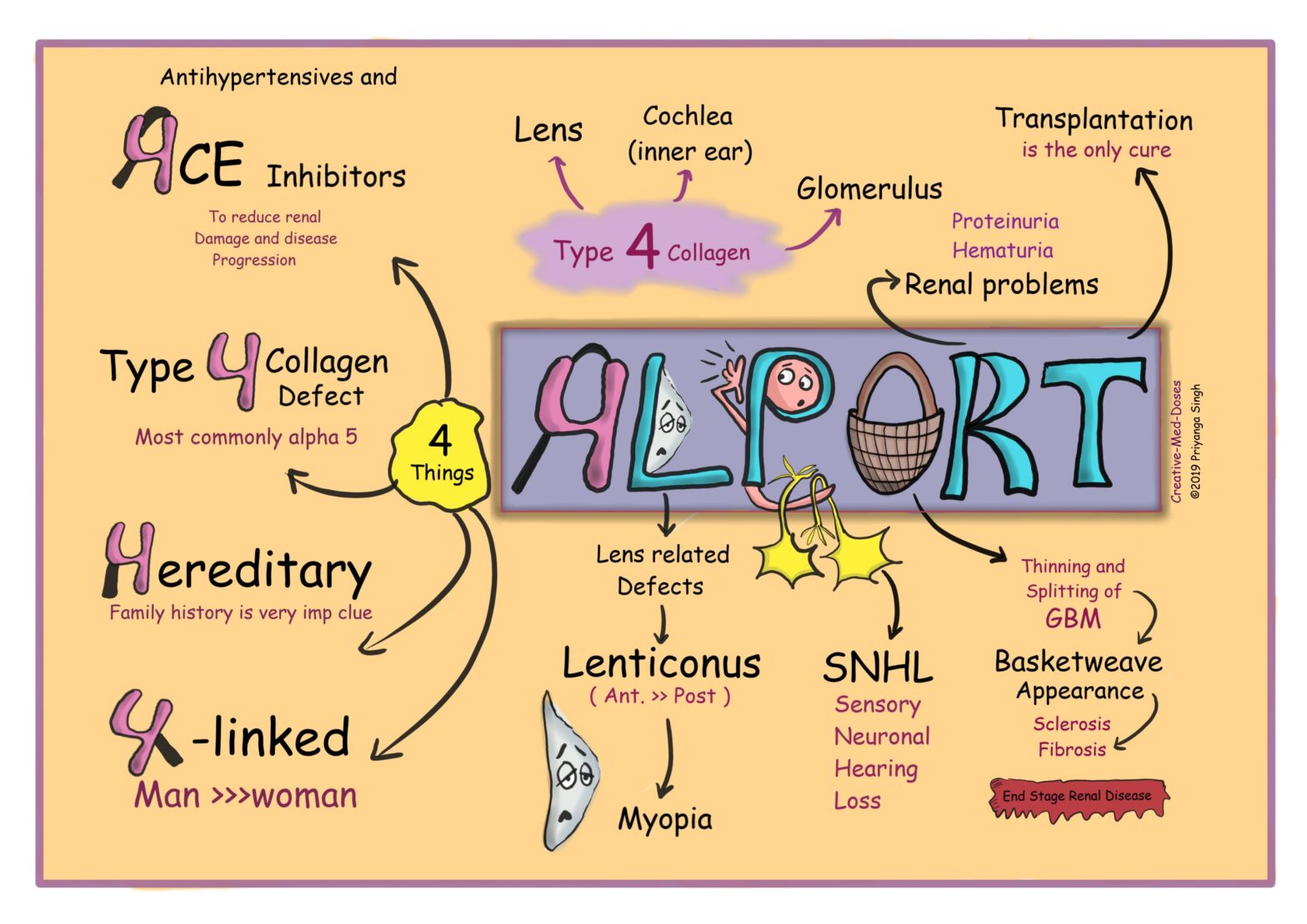 Alport Syndrome visual map