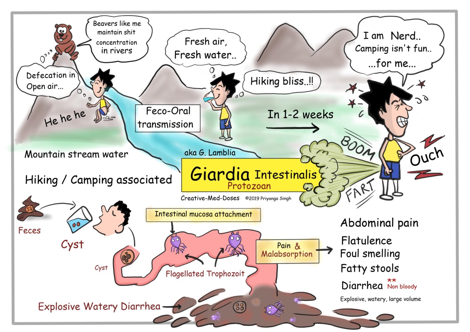 Giardia visual map pathogenesis and clinical features
