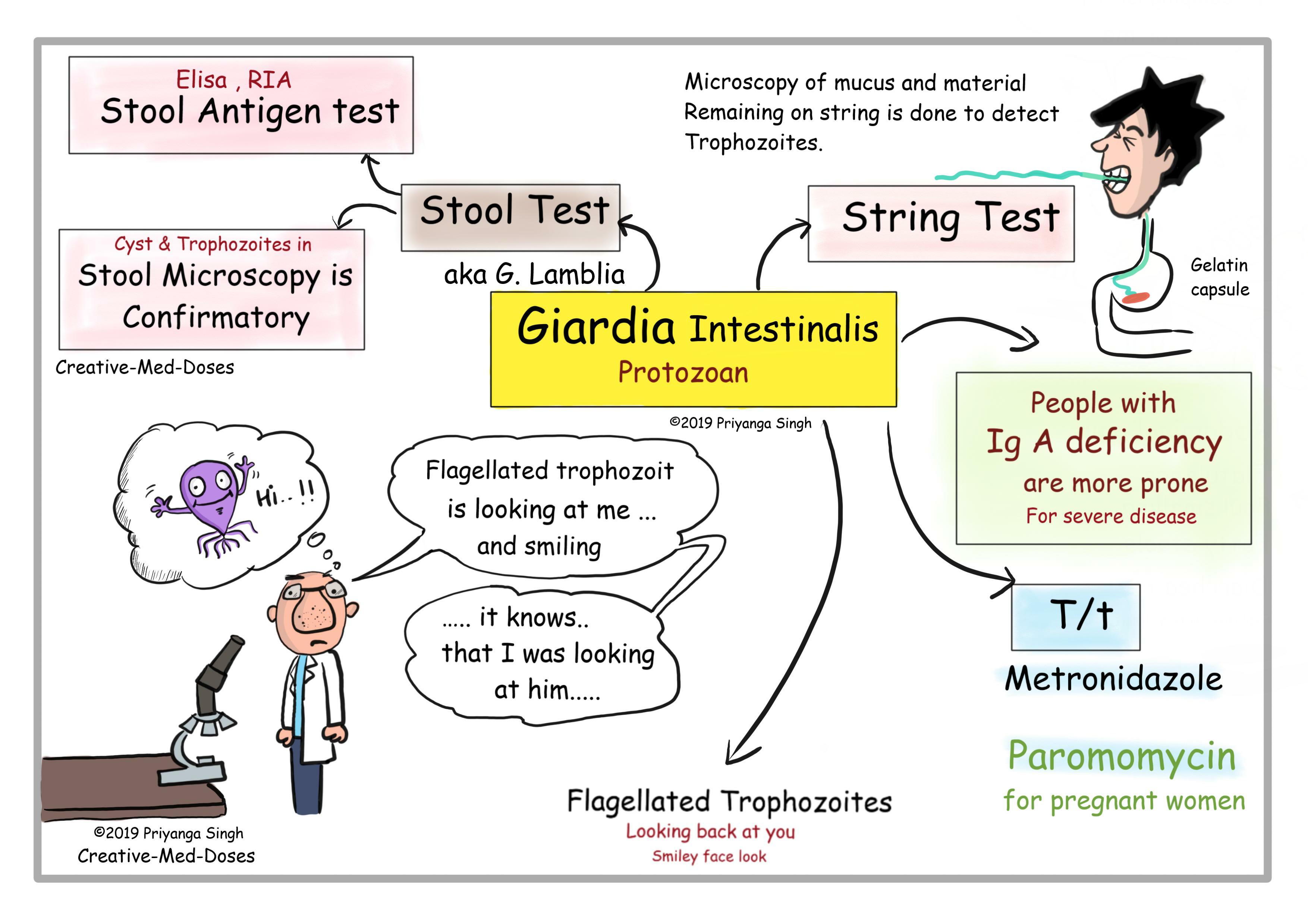 giardia bloody stool