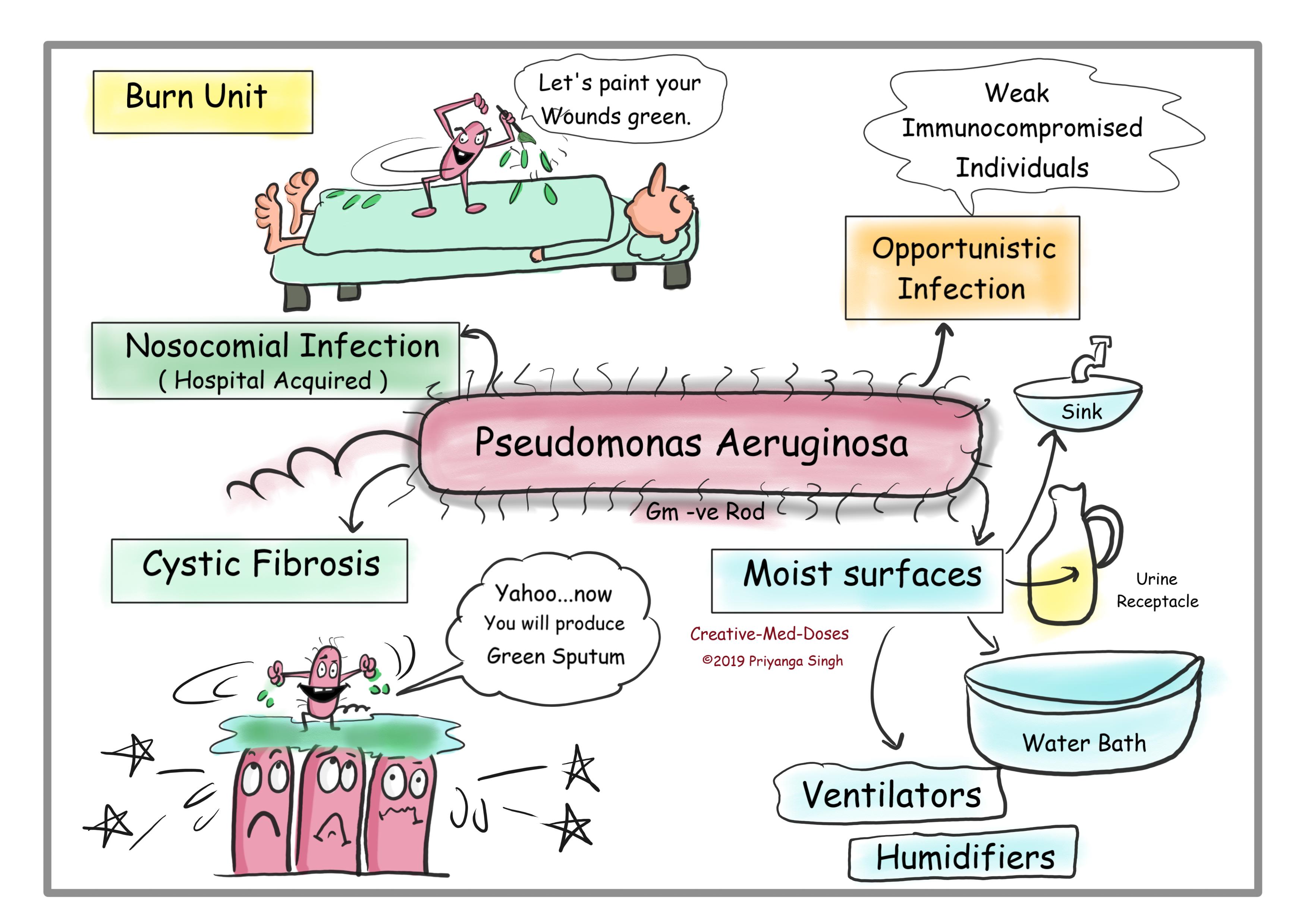Pseudomonas aeruginosa introduction and epidemiology visual map
