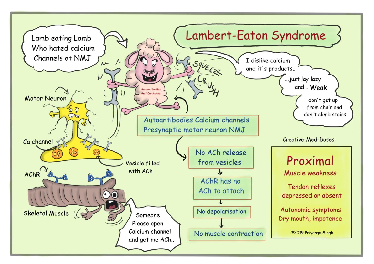 Lambert Eaton Syndrome: Clinical features and treatment