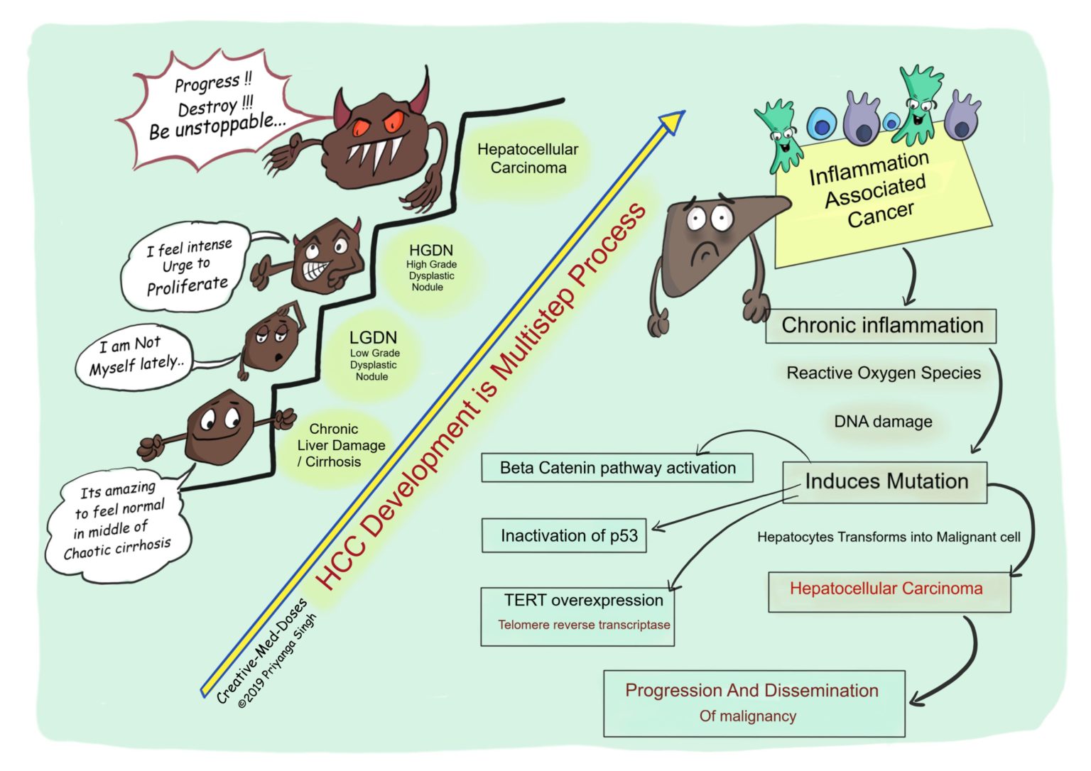 hepatocellular-carcinoma-hcc-creative-med-doses