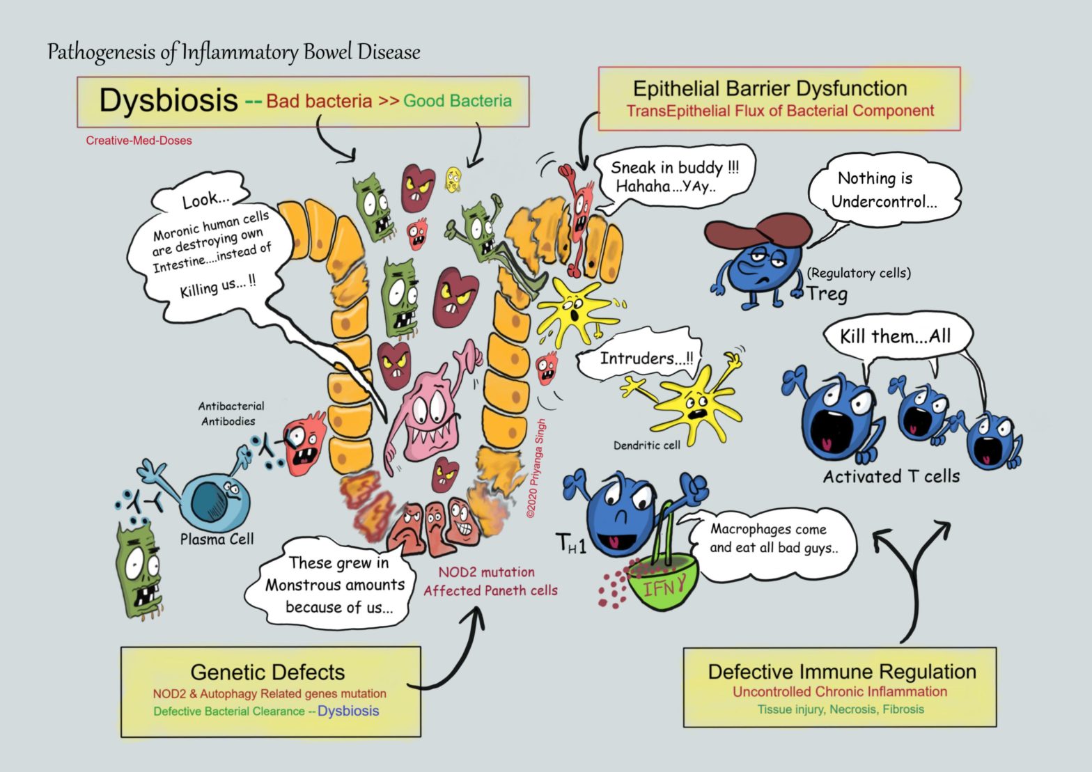Inflammatory Bowel Disease (IBD): Pathogenesis