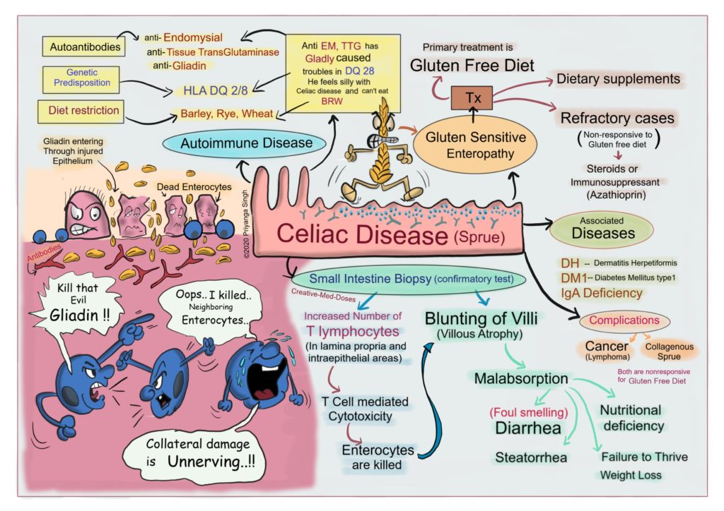 Celiac Disease: Gluten Intolerance - Creative Med Doses