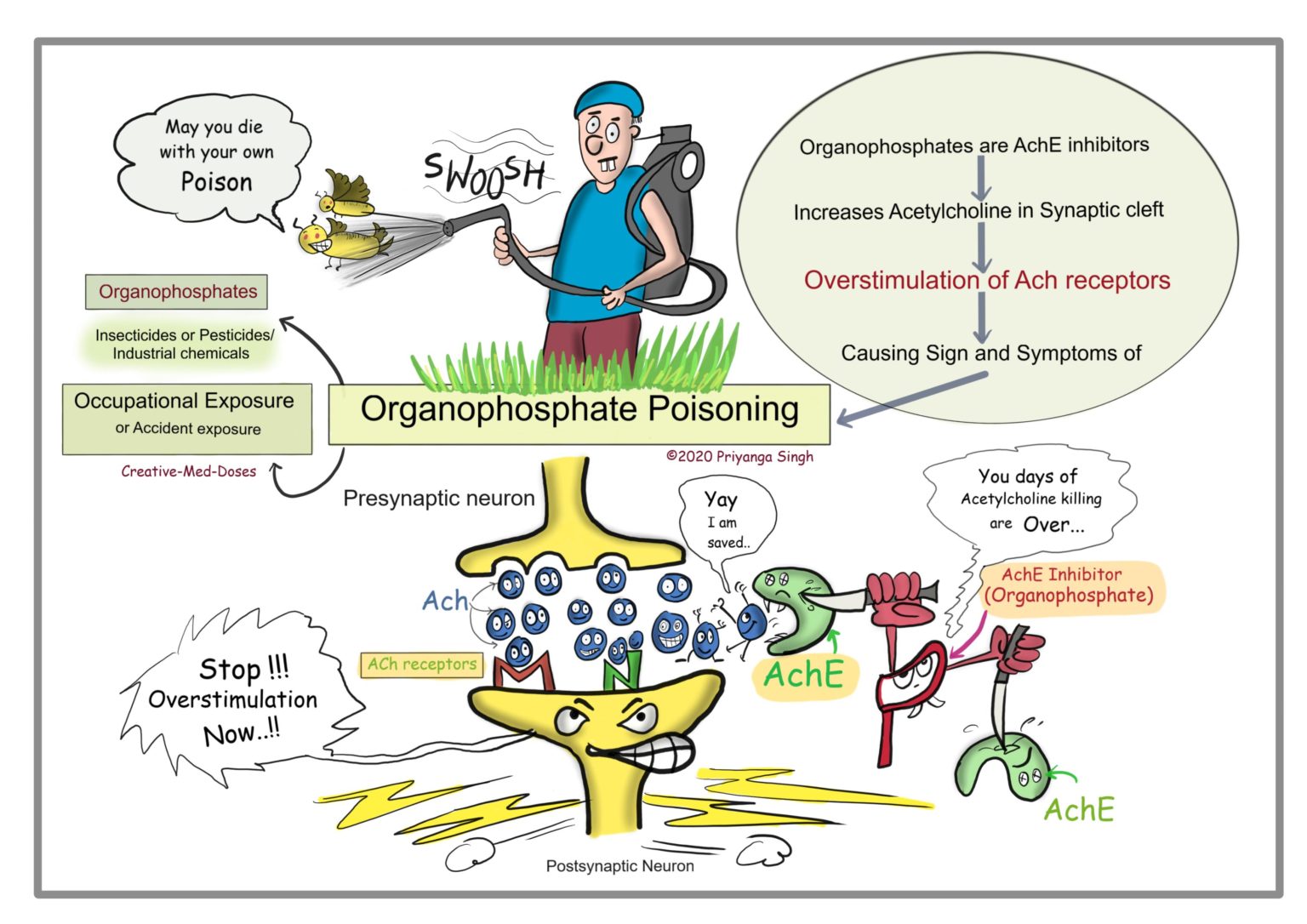 organophosphate-poisoning-creative-med-doses