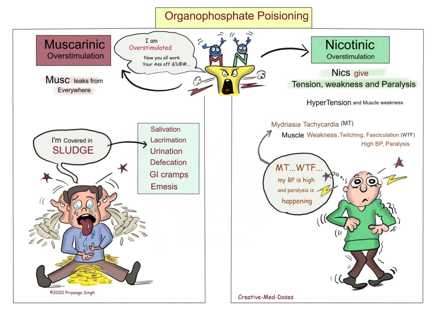 organophosphate-poisoning-creative-med-doses