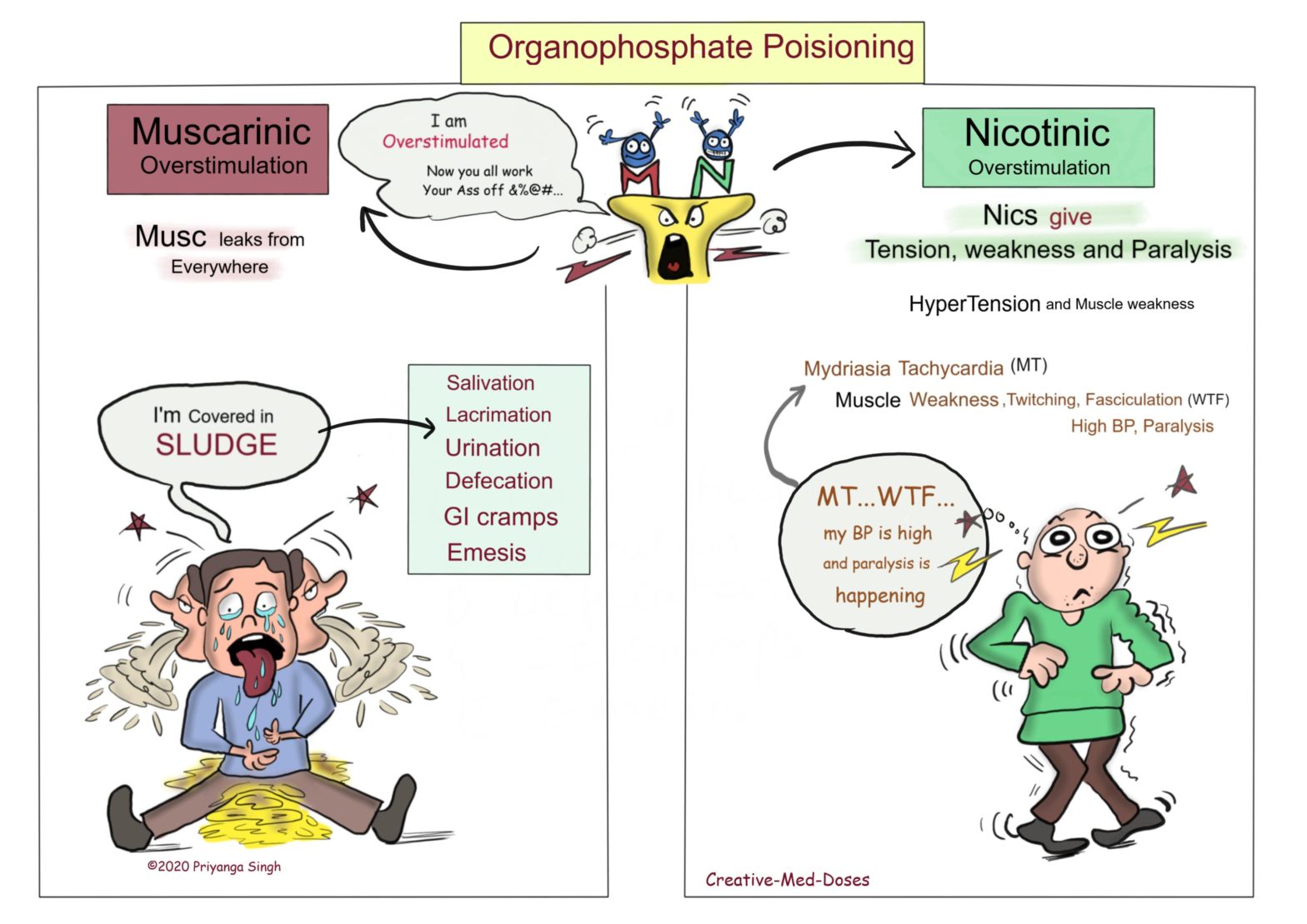 atropine antidote for organophosphate poisoning