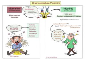 Organophosphate Poisoning - Creative Med Doses