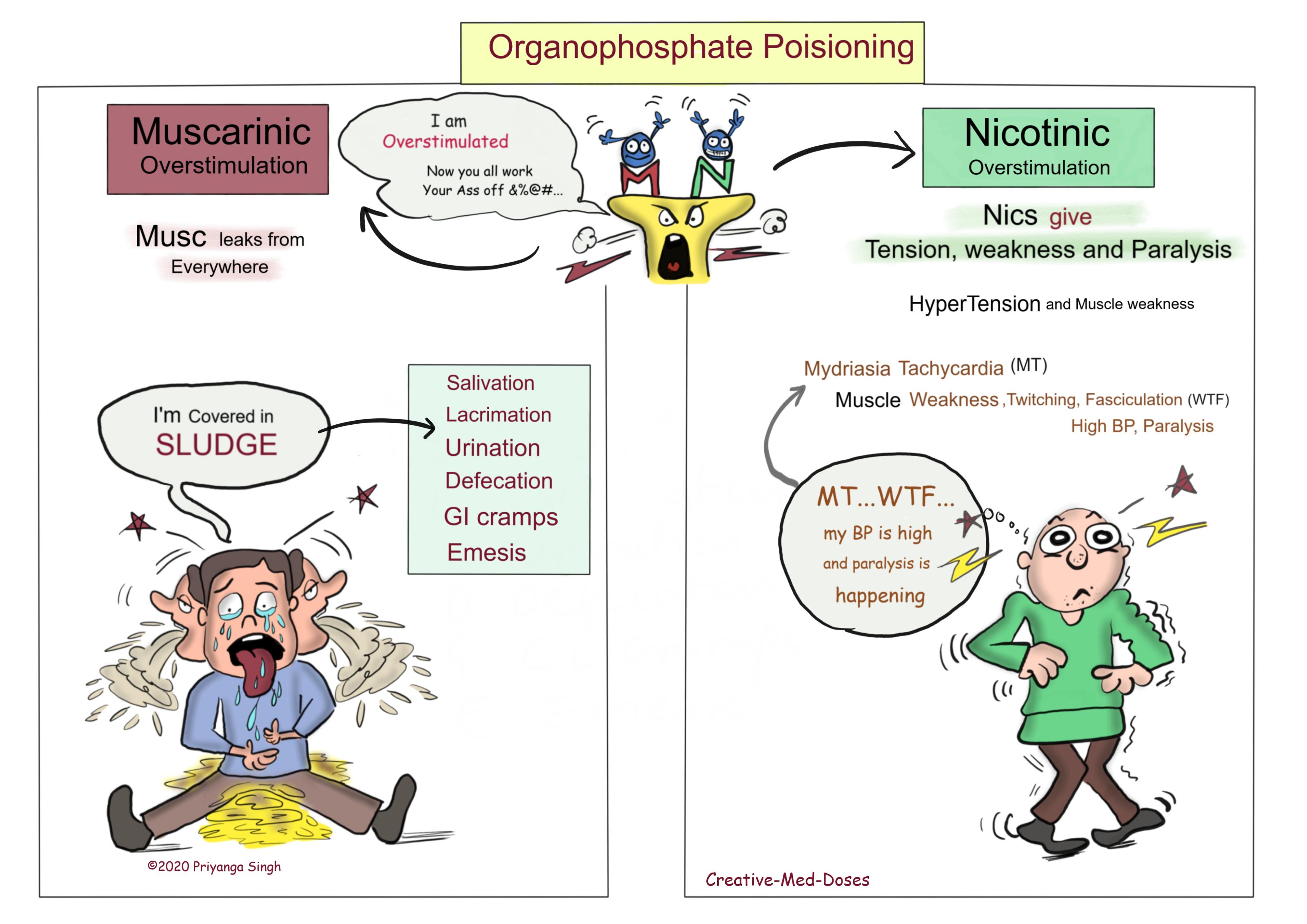 Organophosphate Poisoning: Signs and Symptoms 