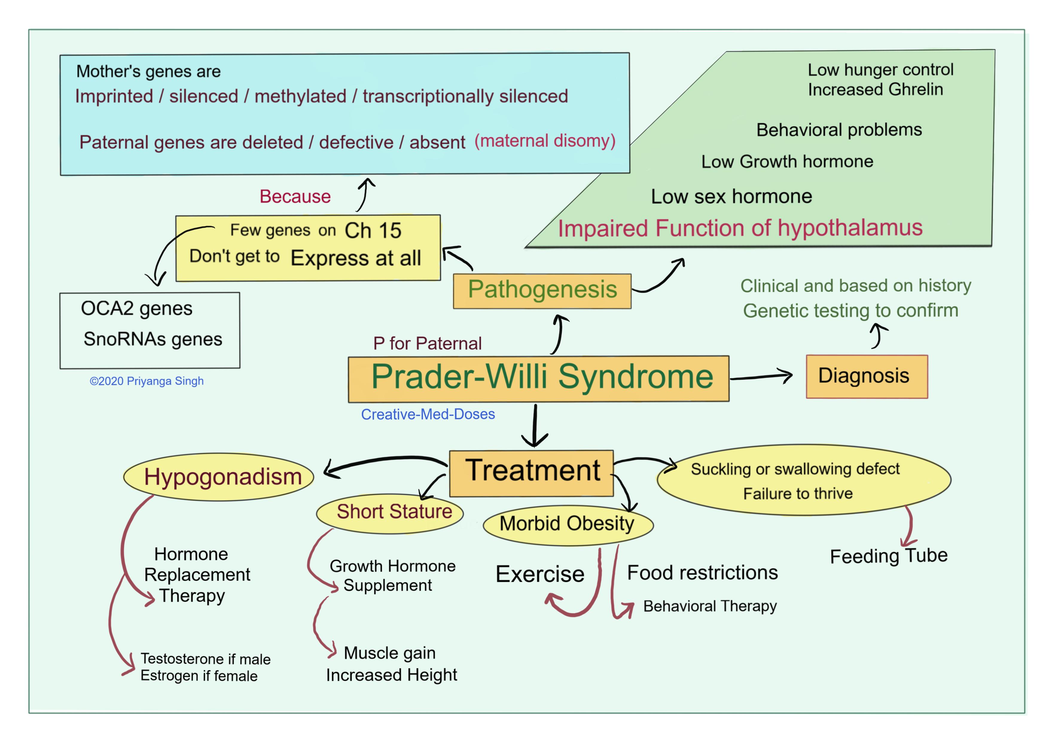 Prader-Willi syndrome: Diagnosis, treatment and pathogenesis 