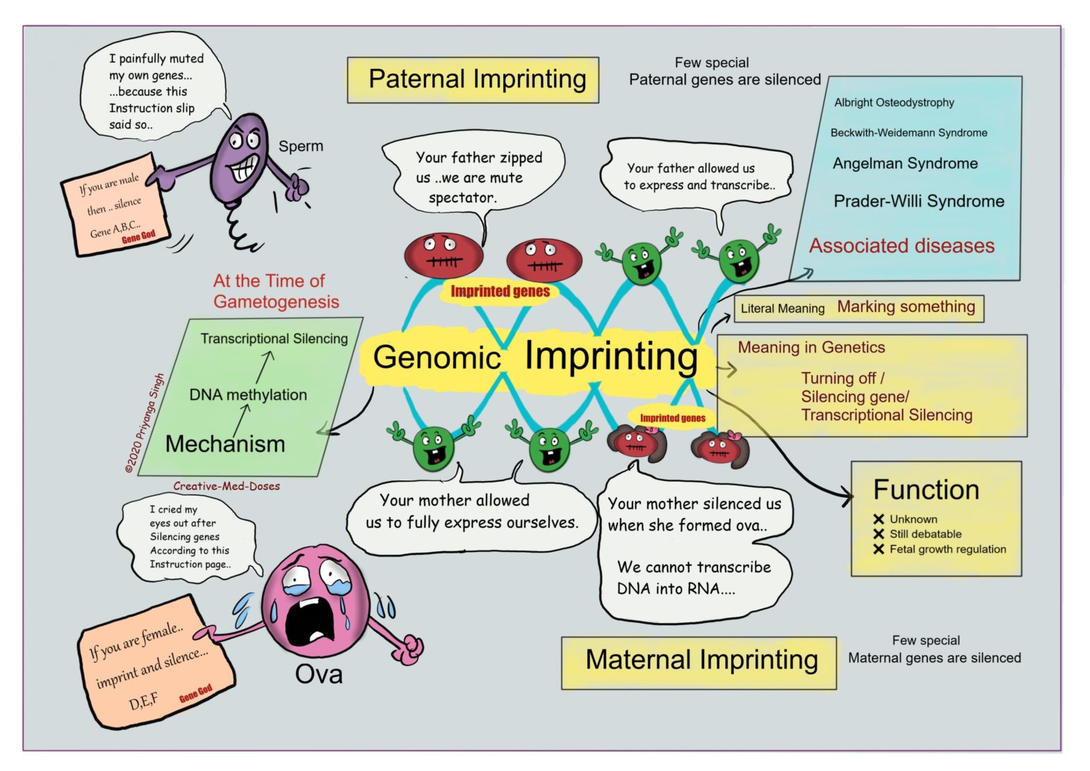Genomic imprinting