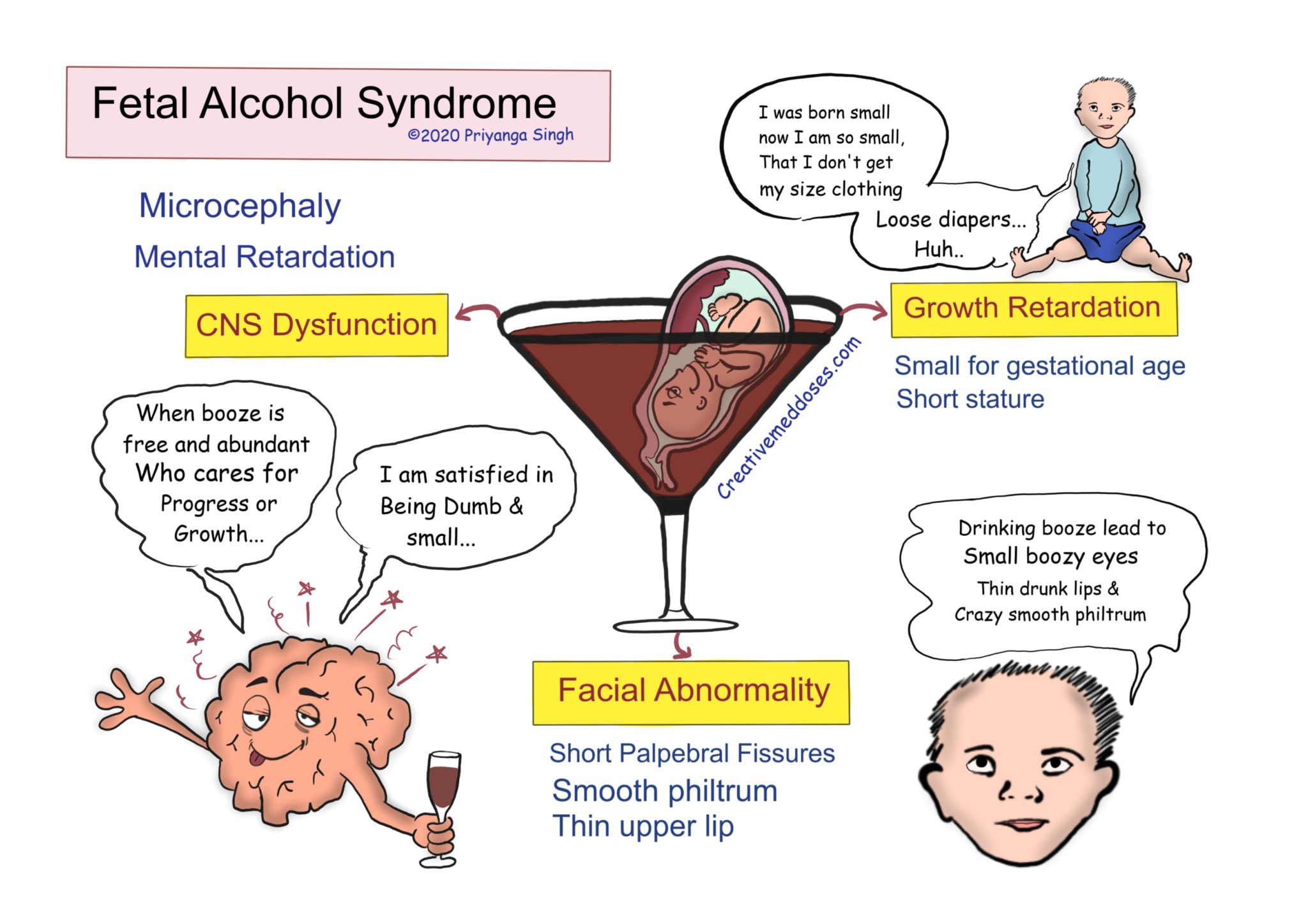 Fetal Alcohol Syndrome Fas Creative Med Doses 5135