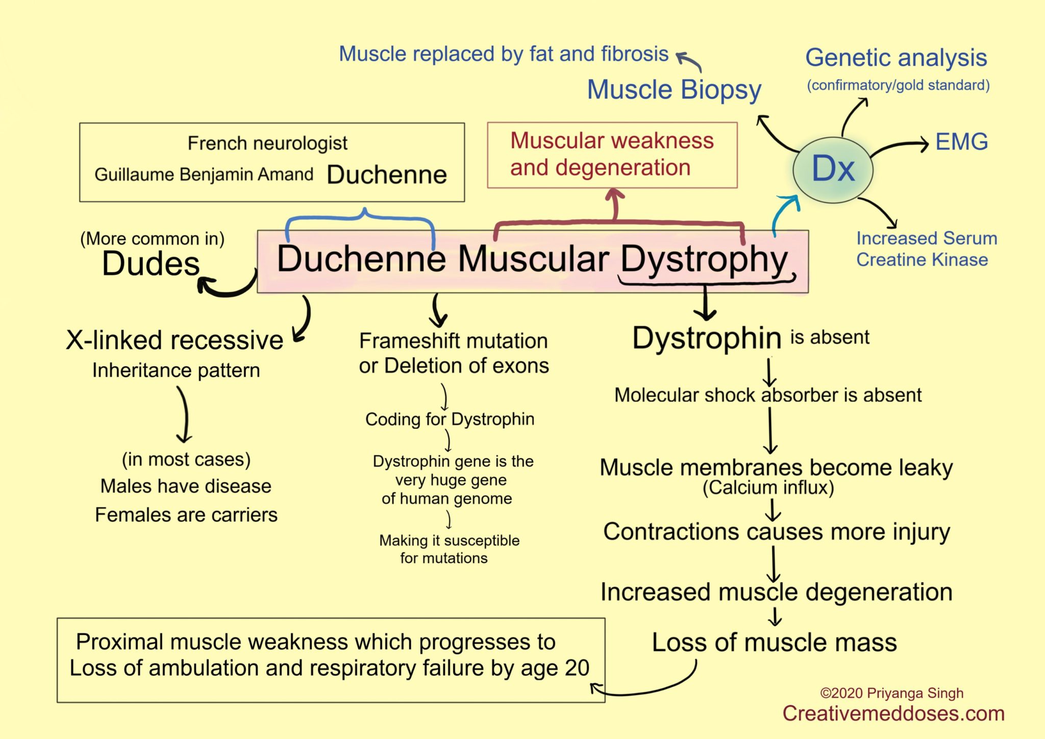 unraveling-the-emotional-impact-of-duchenne-muscular-dystrophy