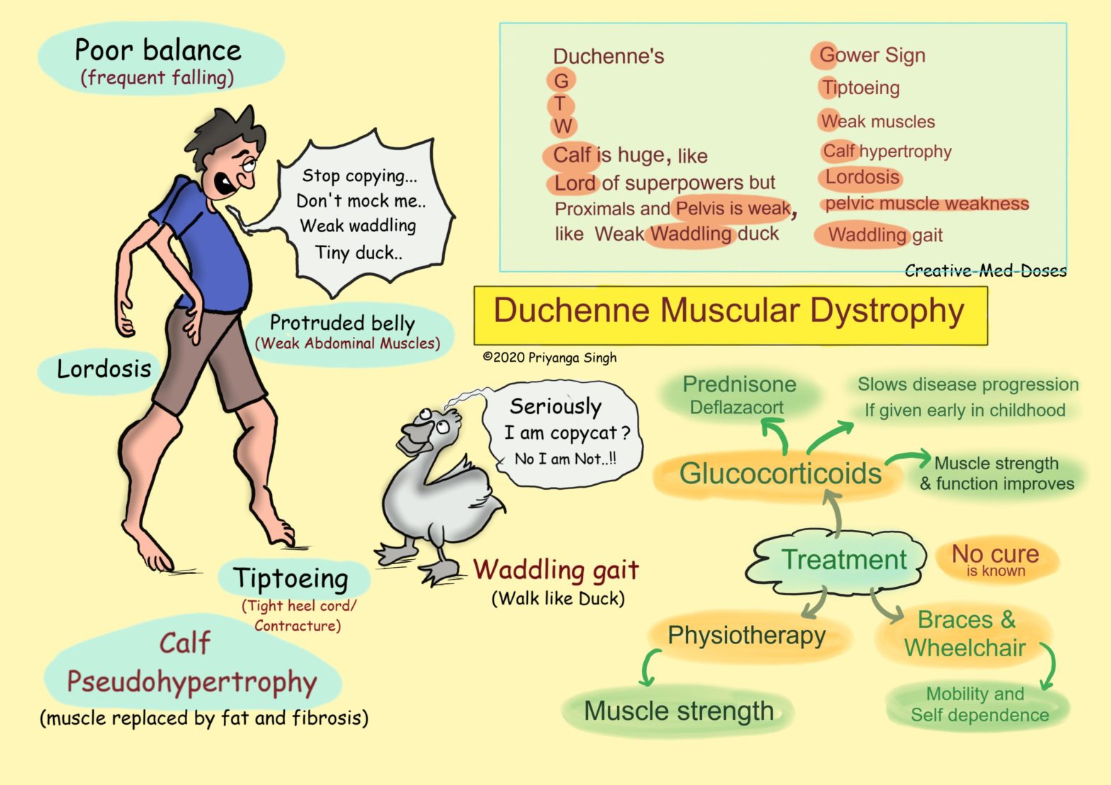 Duchenne Muscular Dystrophy Illustrations Creative Med Doses   Mind Map With Clinical Features  1568x1109 