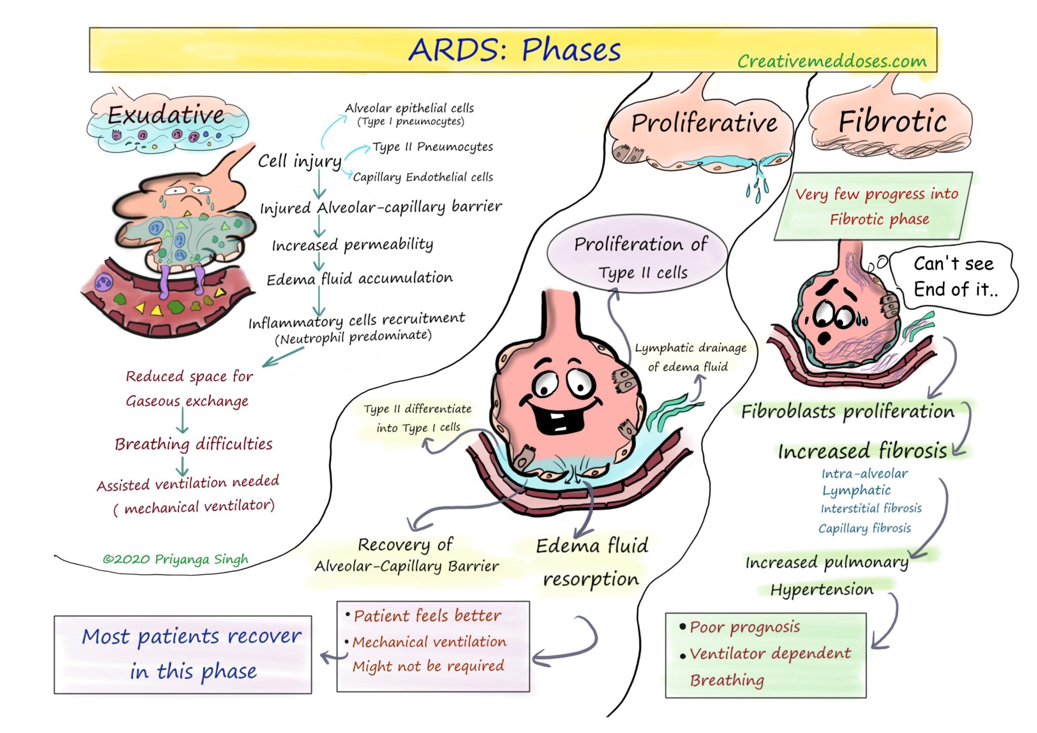 What Are The Types Of Exudative Inflammation