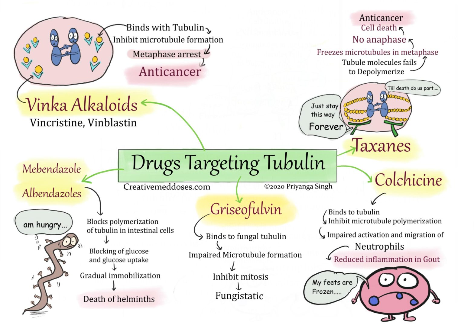 Drugs targeting tubulin