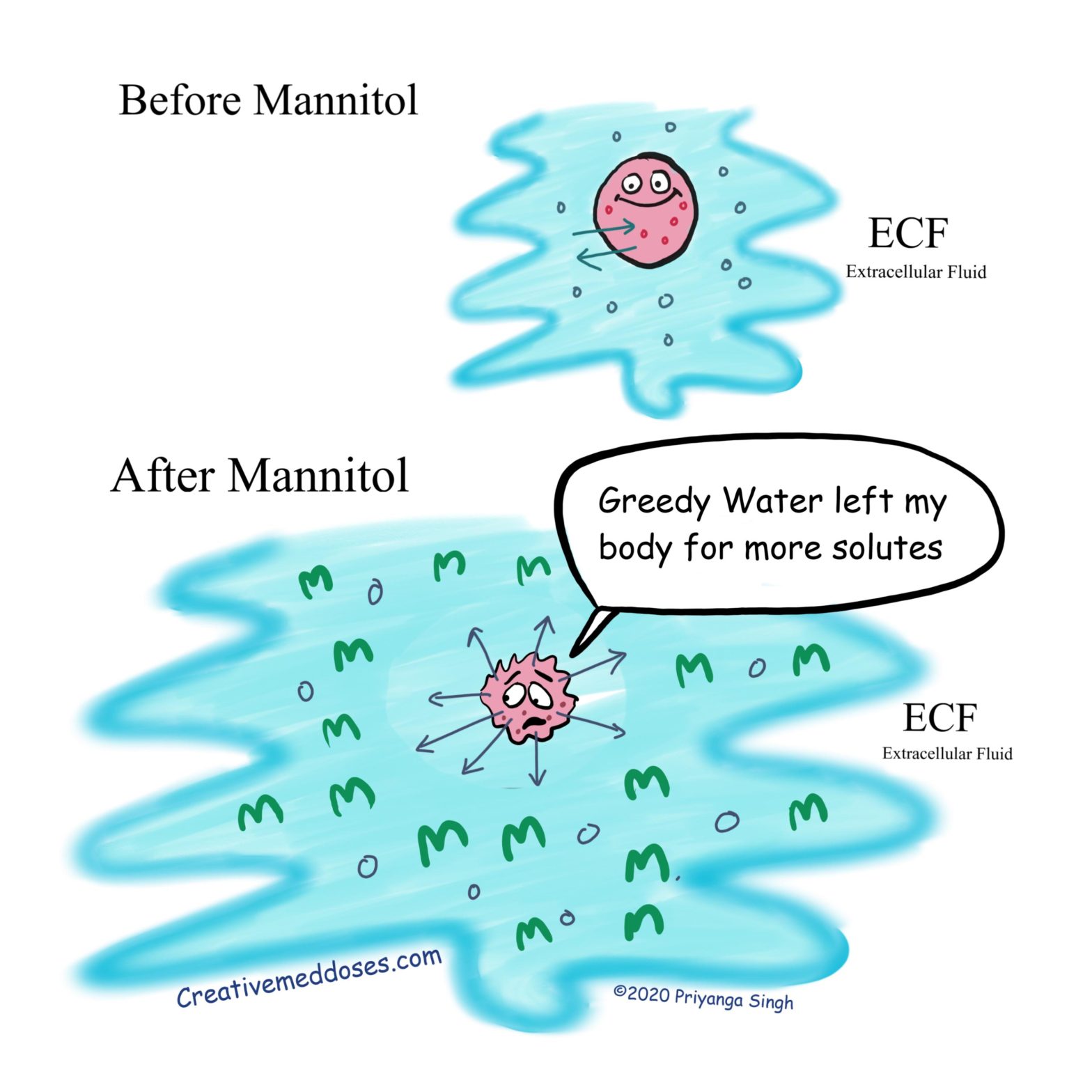 Mannitol and Extra Cellular Fluid expansion