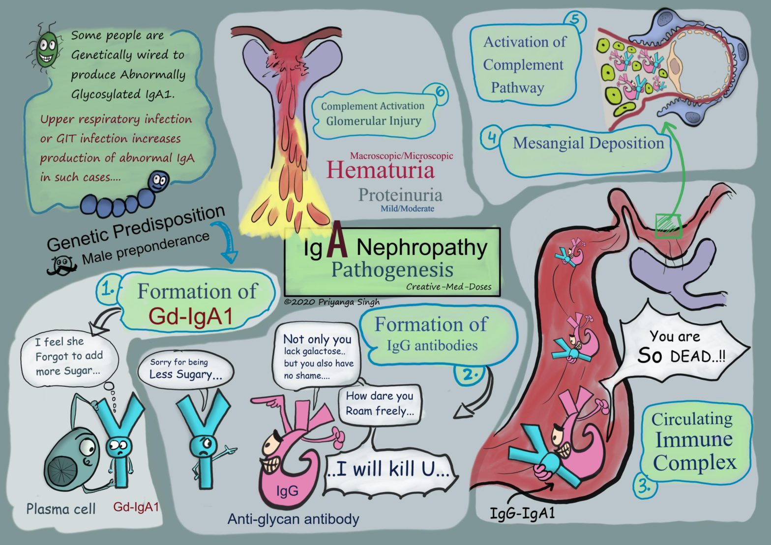 IgA nephropathy pathogenesis