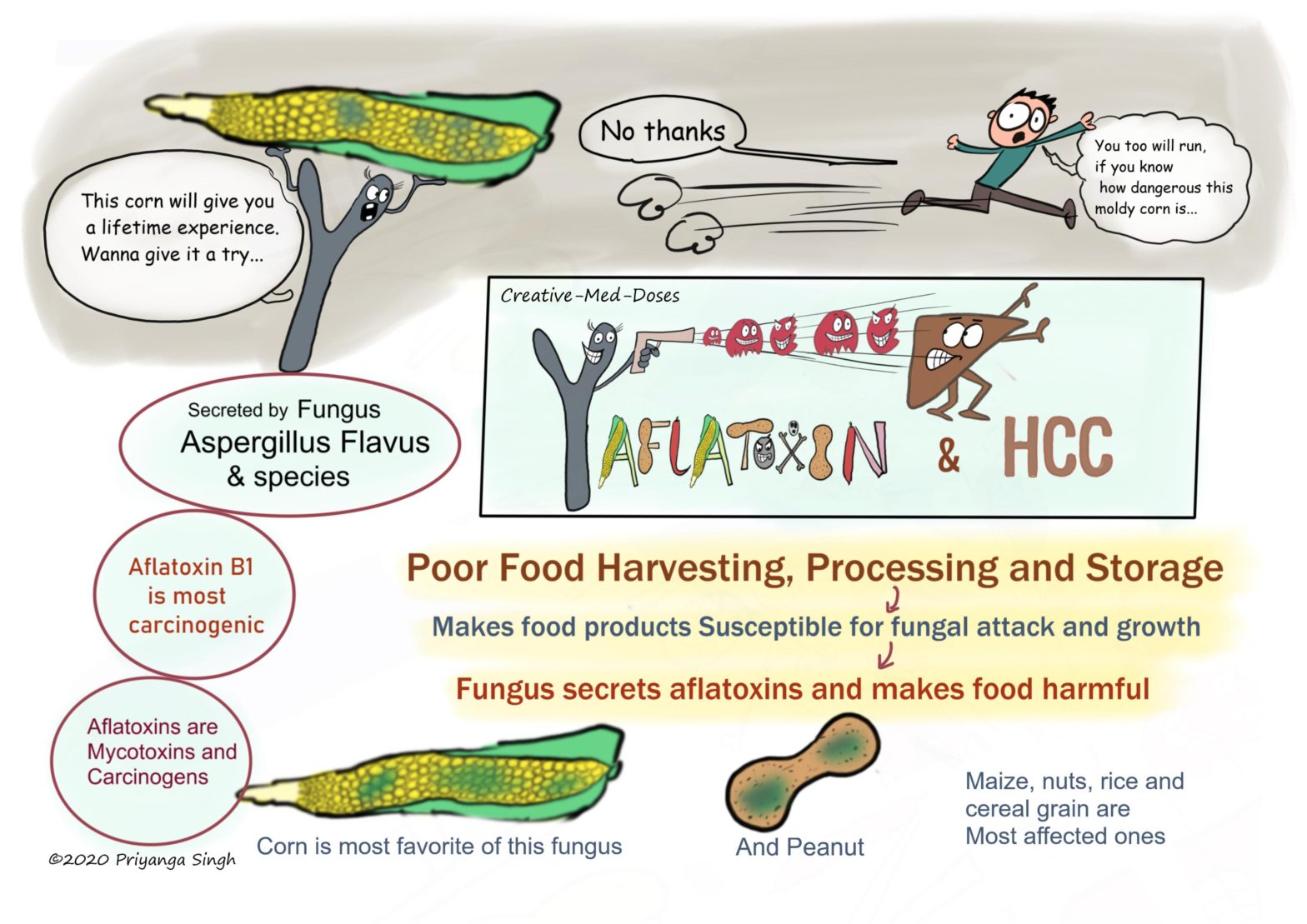 Aflatoxins And Hepatocellular Carcinoma - Creative Med Doses