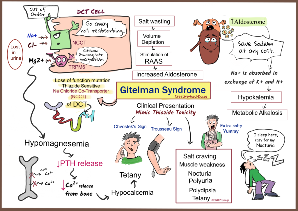 Gitelman syndrome: NCCT defect - Creative Med Doses