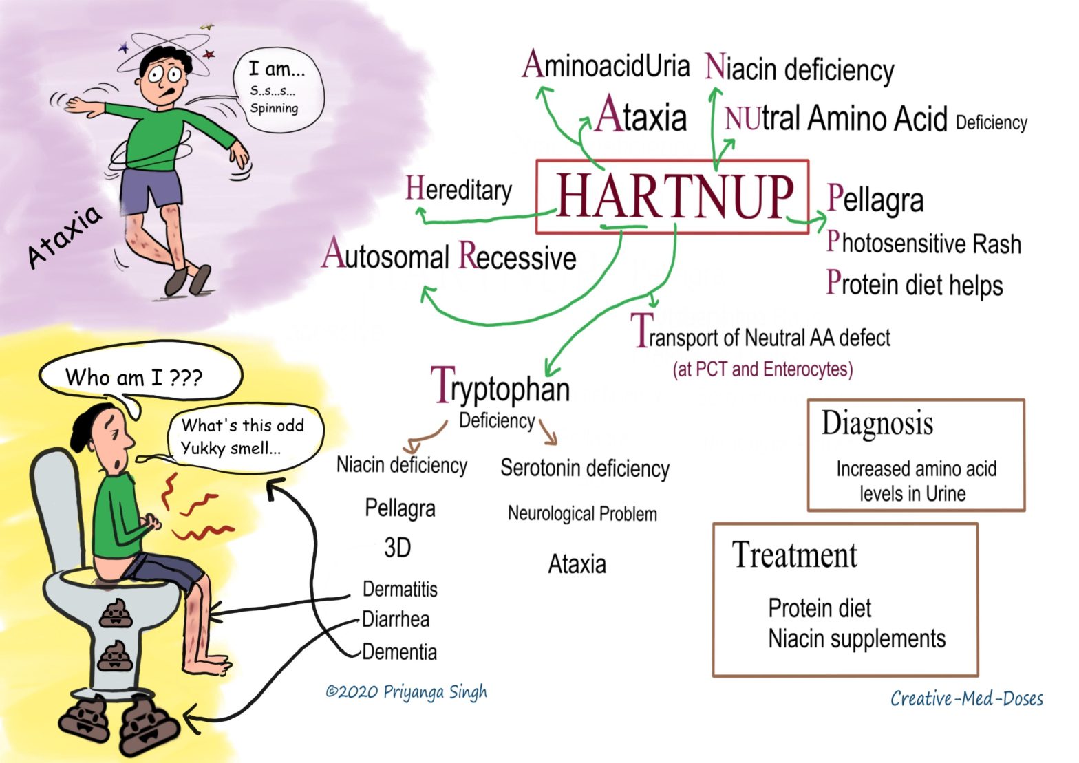 Hartnup disease infographic
