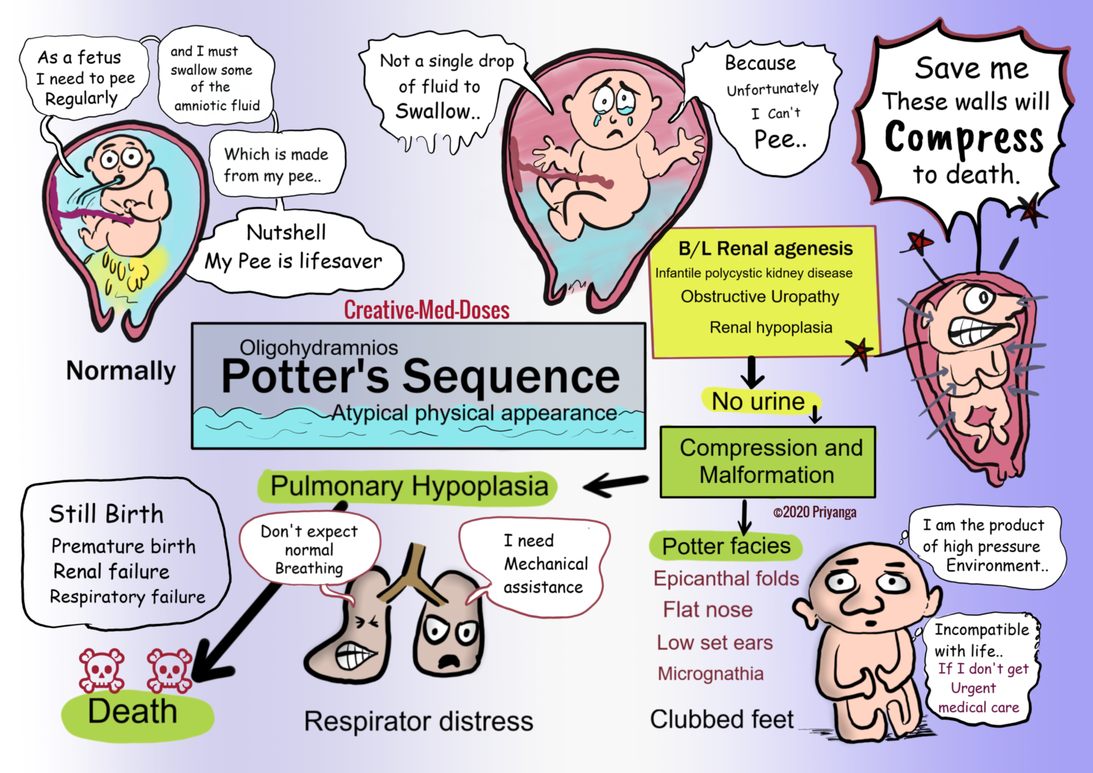 Potter's sequence
