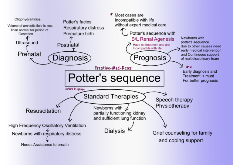 Potter's Classification Potter’s Sequence - Creative Med Doses