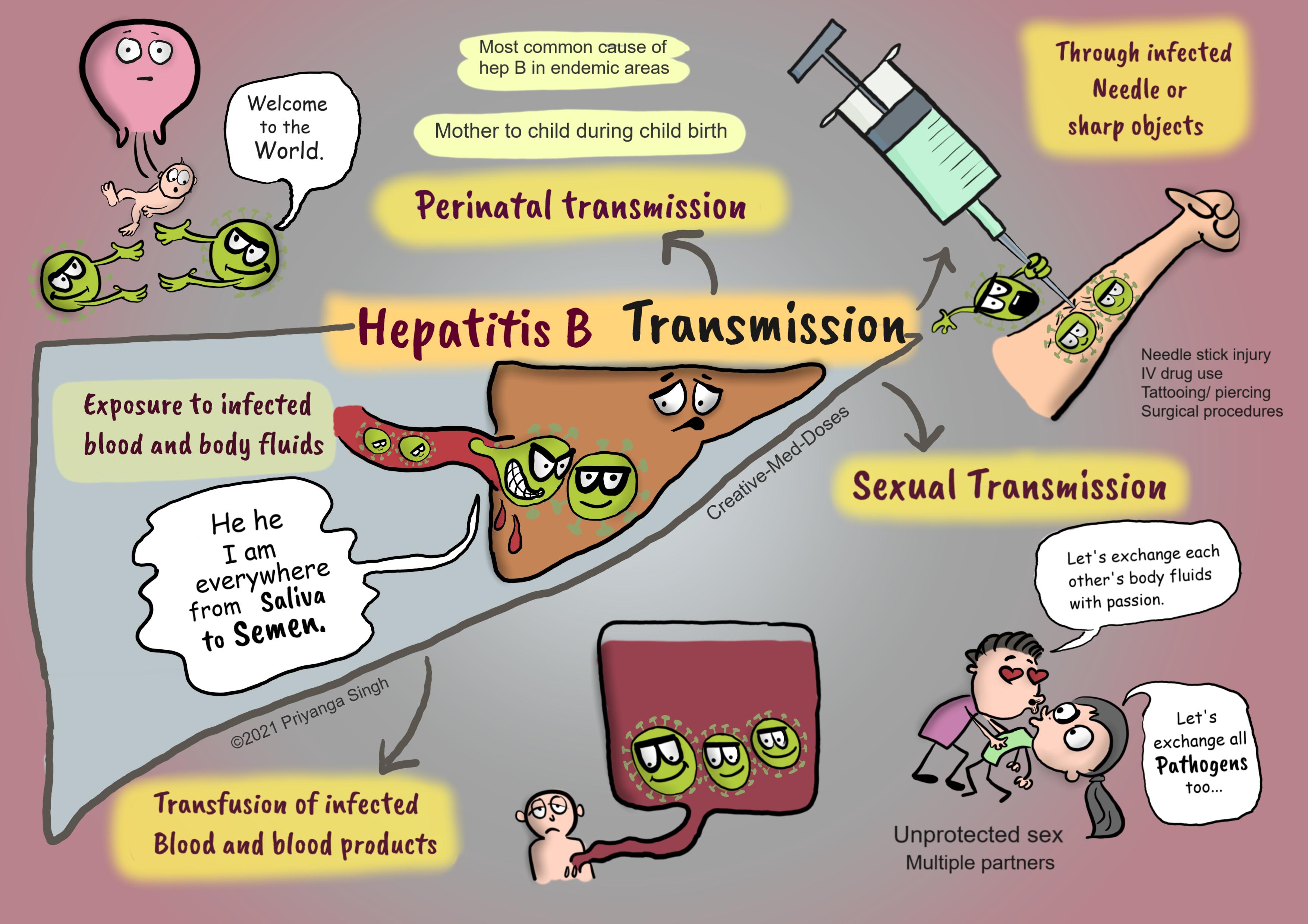  Hepatitis B: mode of transmission 