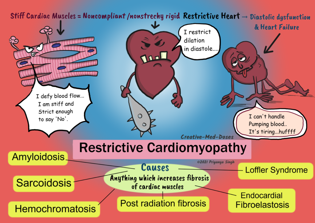 Restrictive Cardiomyopathy Stiff Ventricles Creative Med Doses