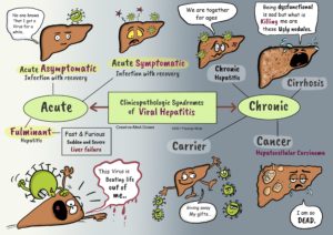 Hepatitis B: transmission and Clinical presentation - Creative Med Doses