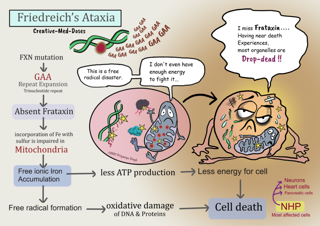 Friedreichs Ataxia Absent Frataxin Creative Med Doses