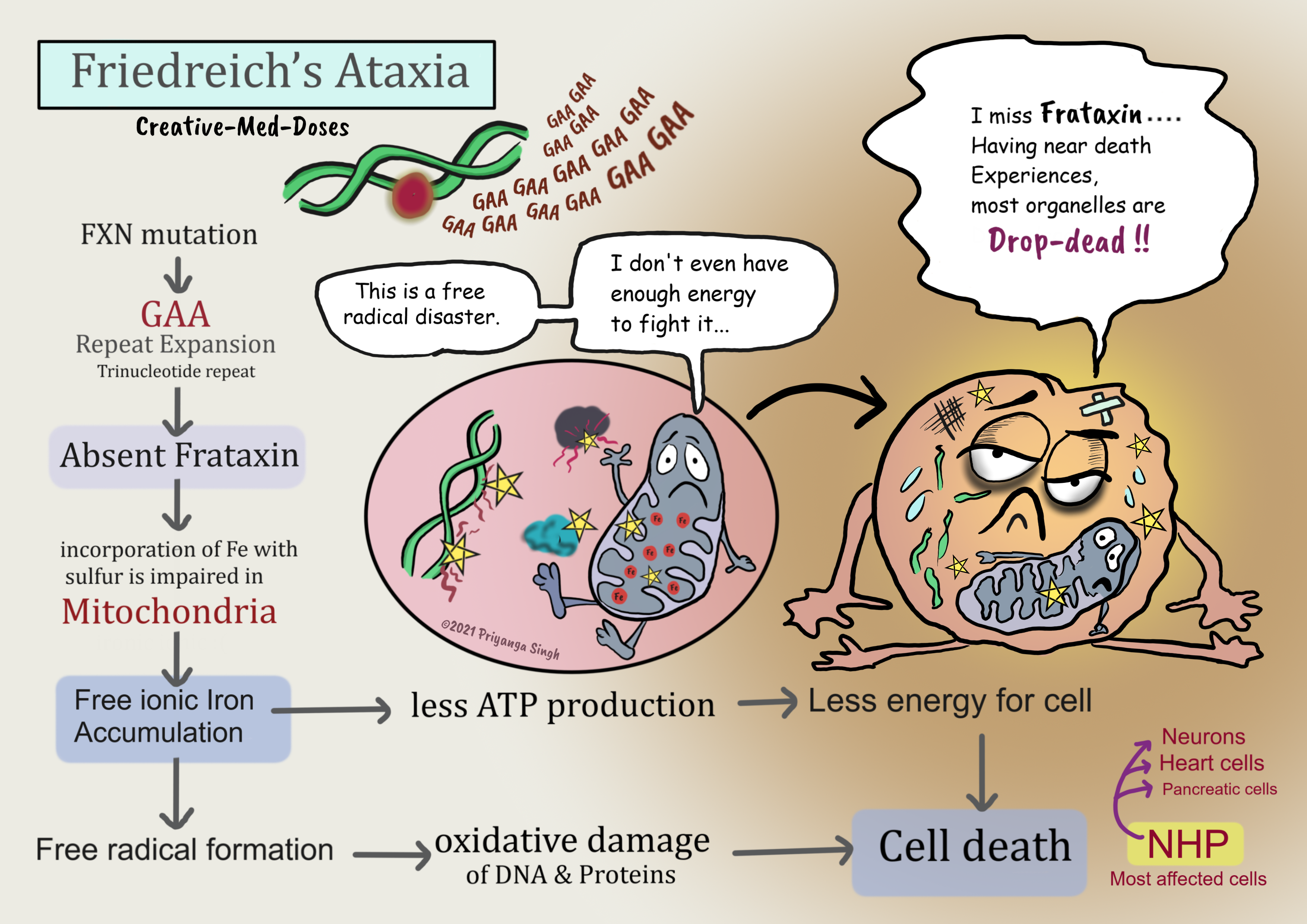 Friedreich’s ataxia pathogenesis 